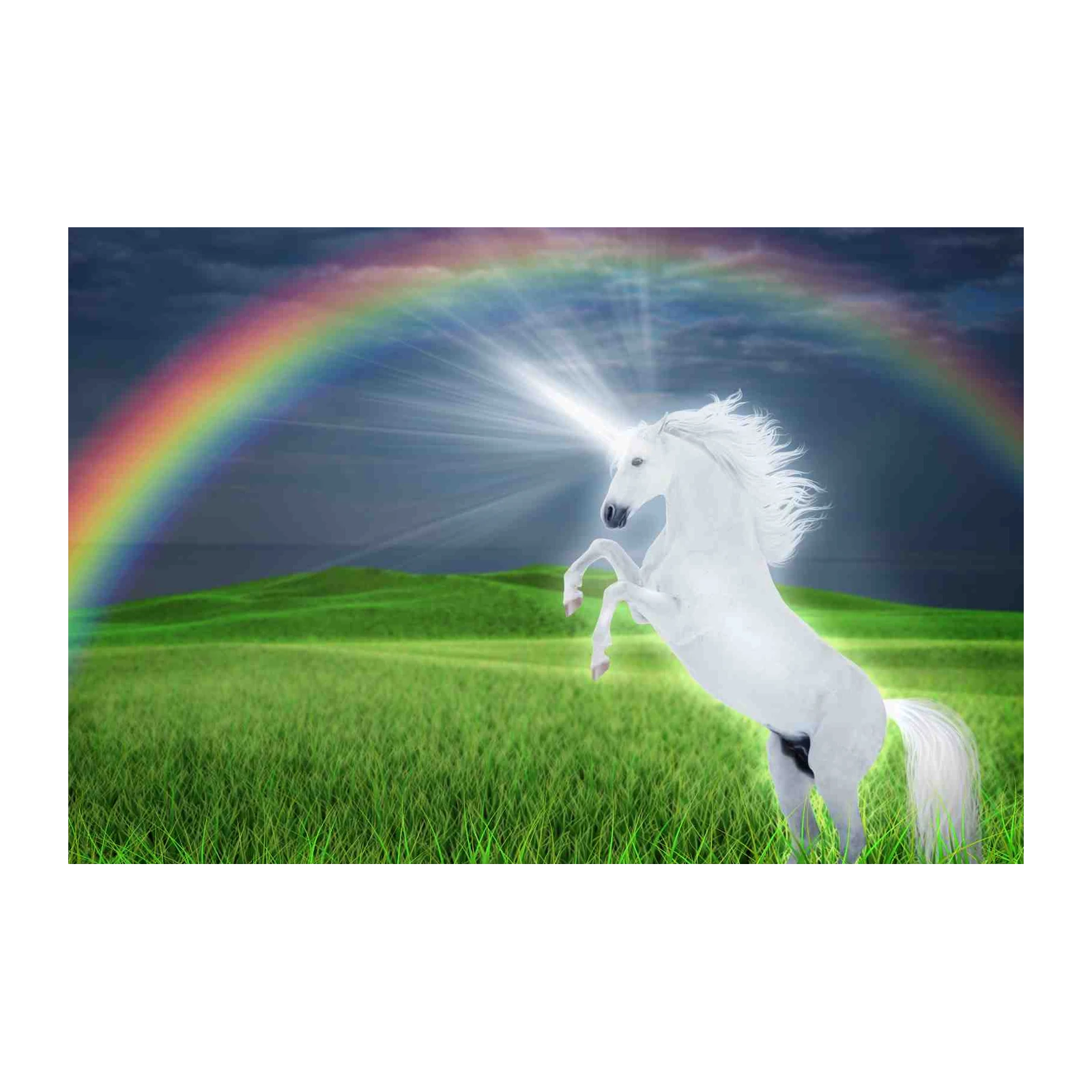Magical Unicorn Rainbow Field Wall Art