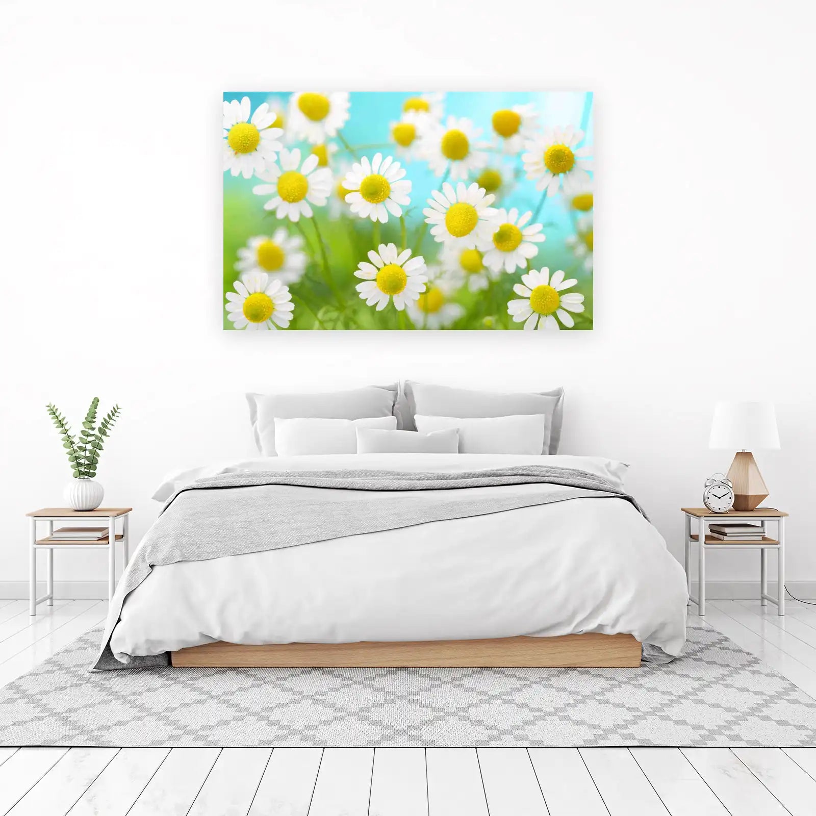 Serene Daisy Meadow Wall Art