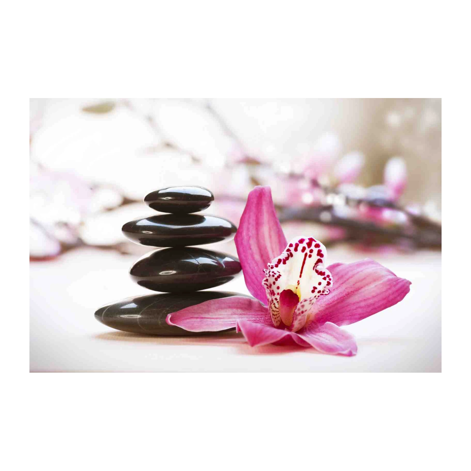 Zen Stone & Orchid Spa Serenity Wall Art