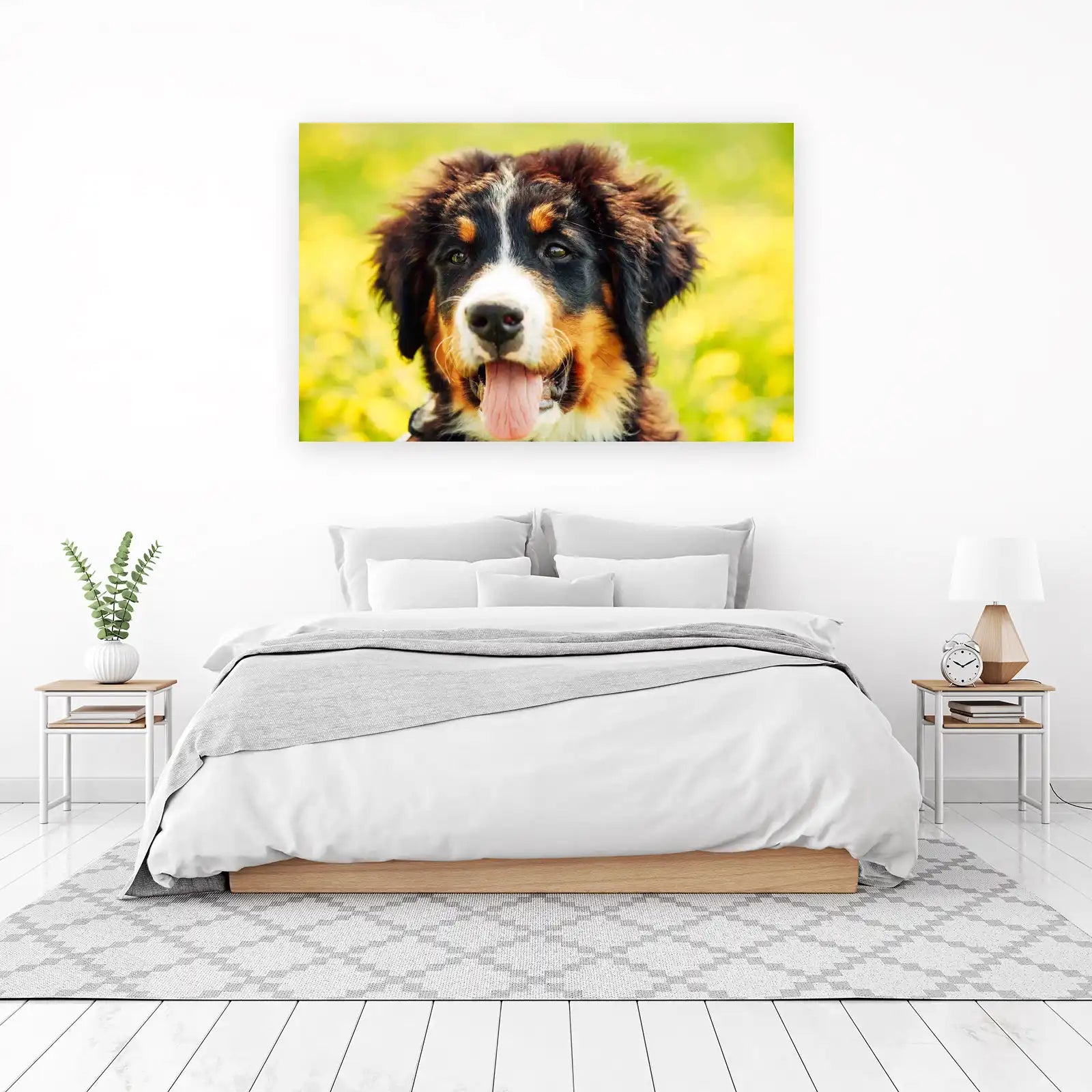 Bernese Mountain Dog Portrait Wall Art
