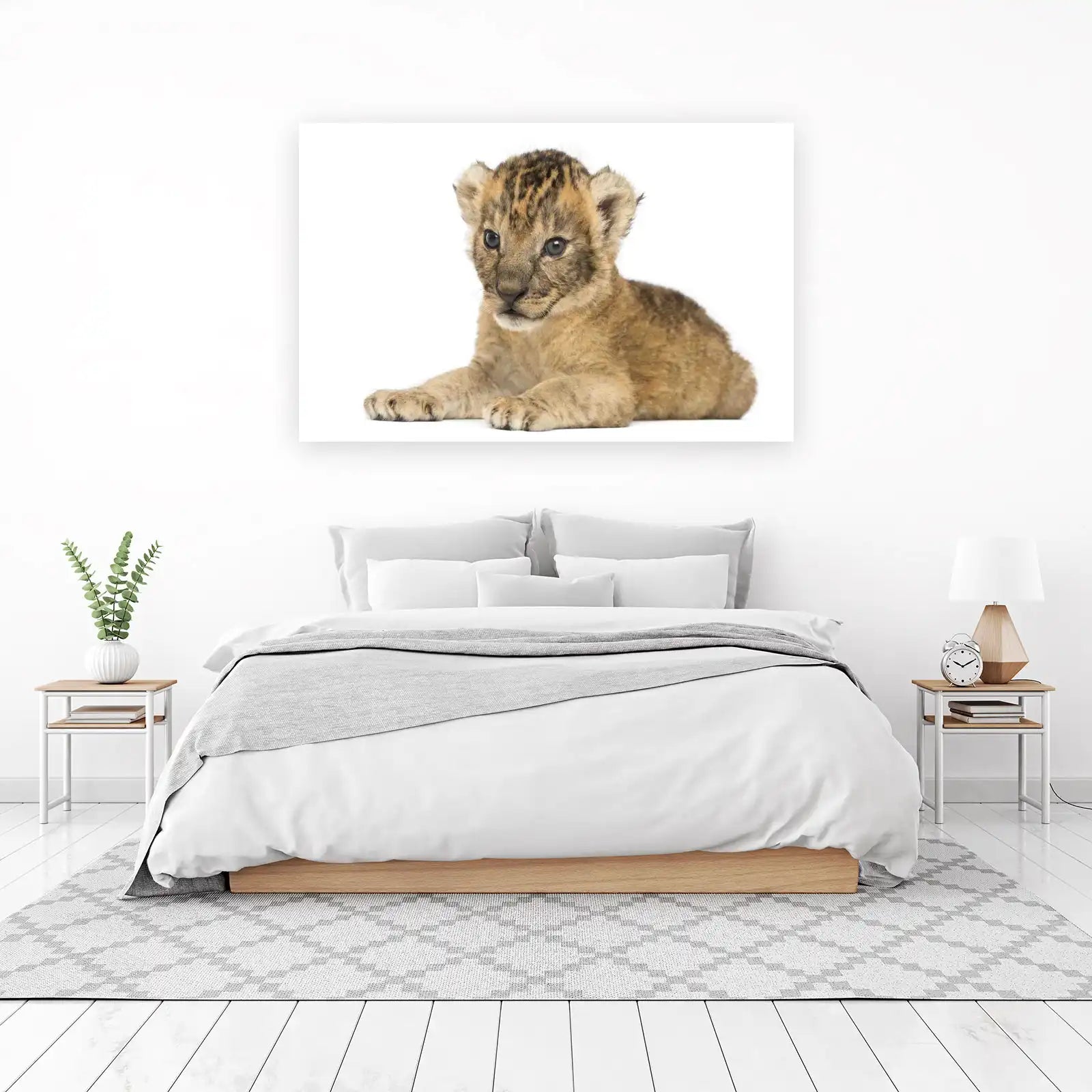 Adorable Lion Cub Wildlife Wall Art