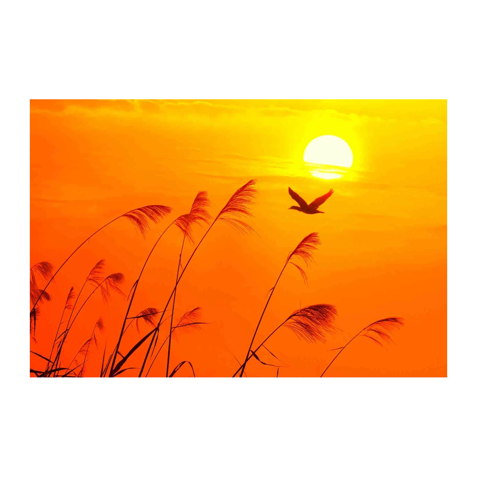 Serene Sunset Bird & Reeds Wall Art