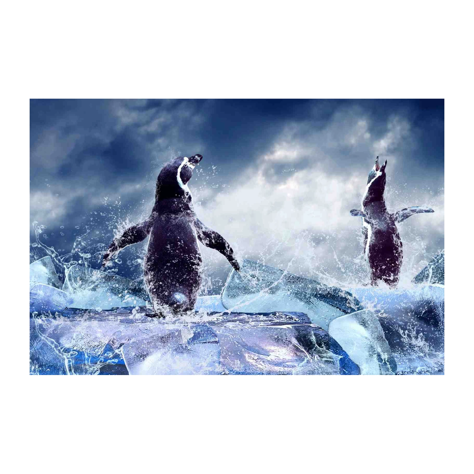 Majestic Penguins Ice Splash Wall Art