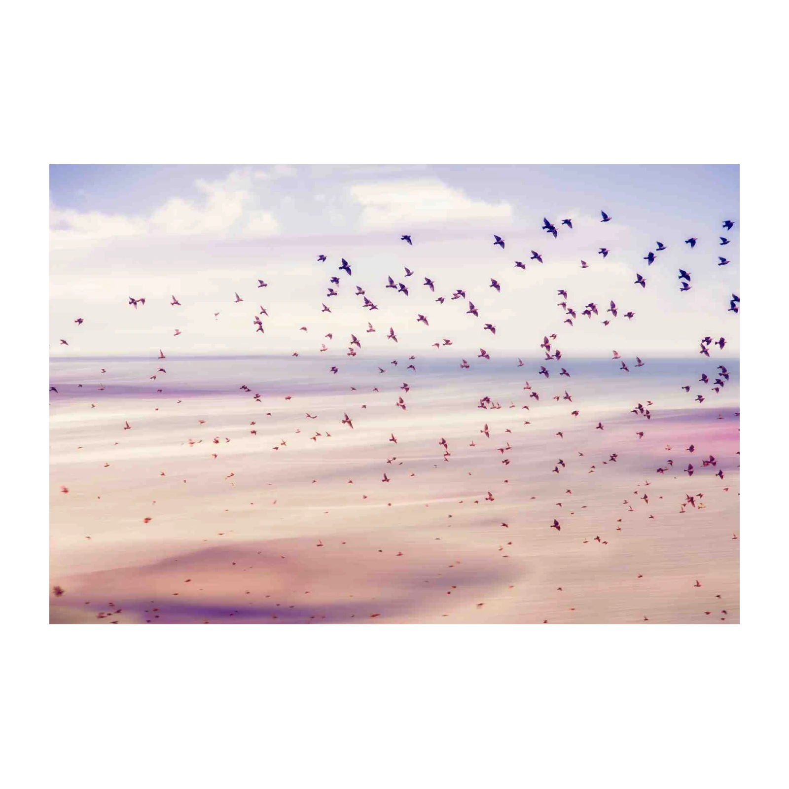 Serene Flock of Birds Wall Art Wall Art