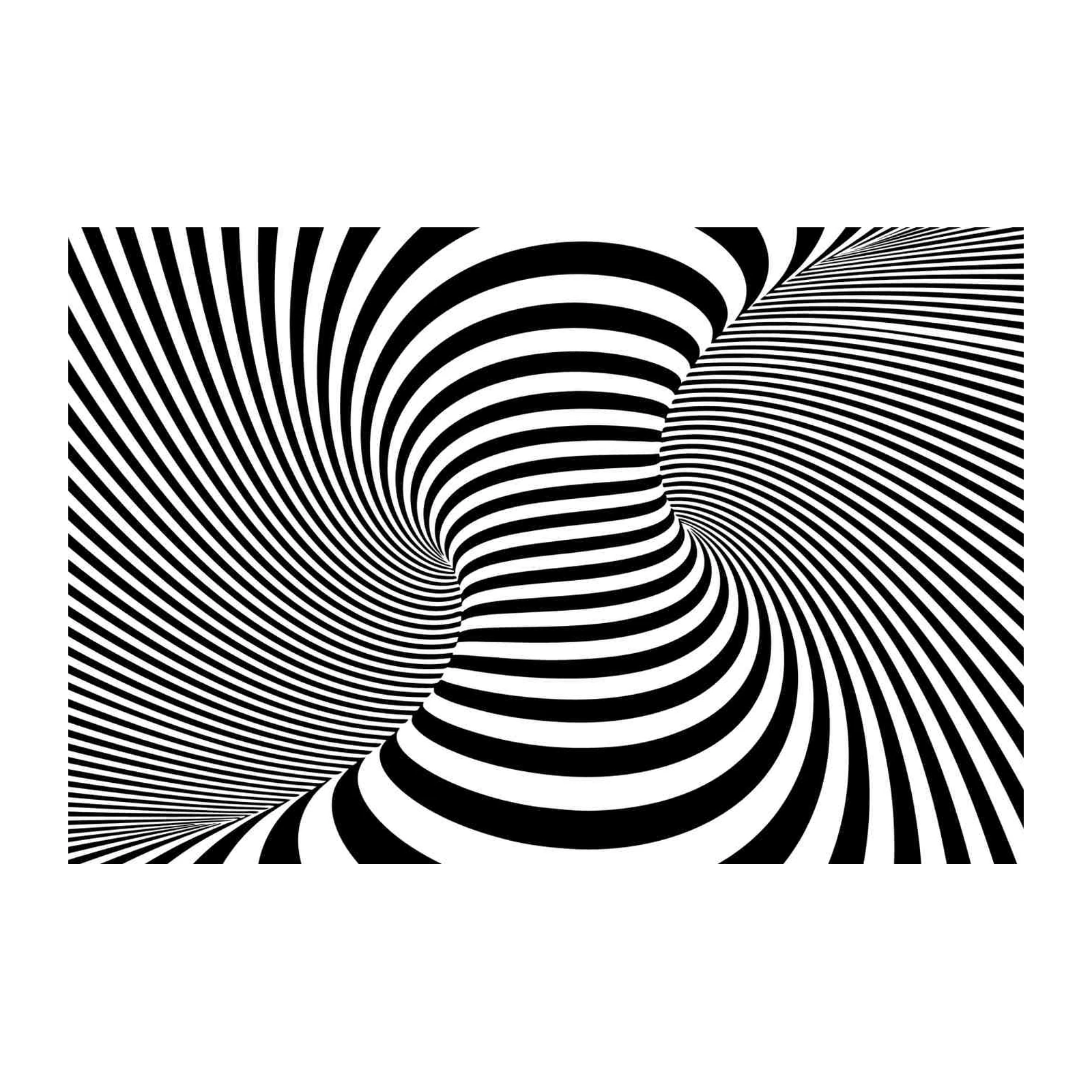 Optical Illusion Black & White Wall Art