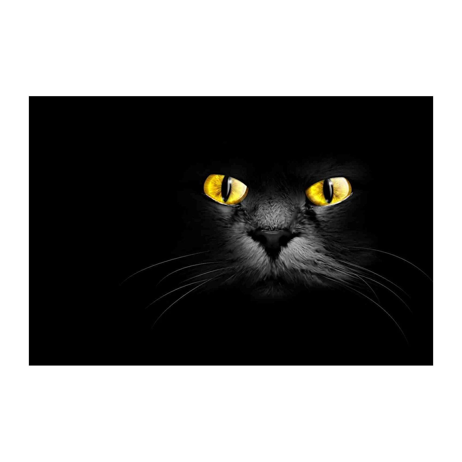Mystic Black Cat Yellow Eyes Wall Art
