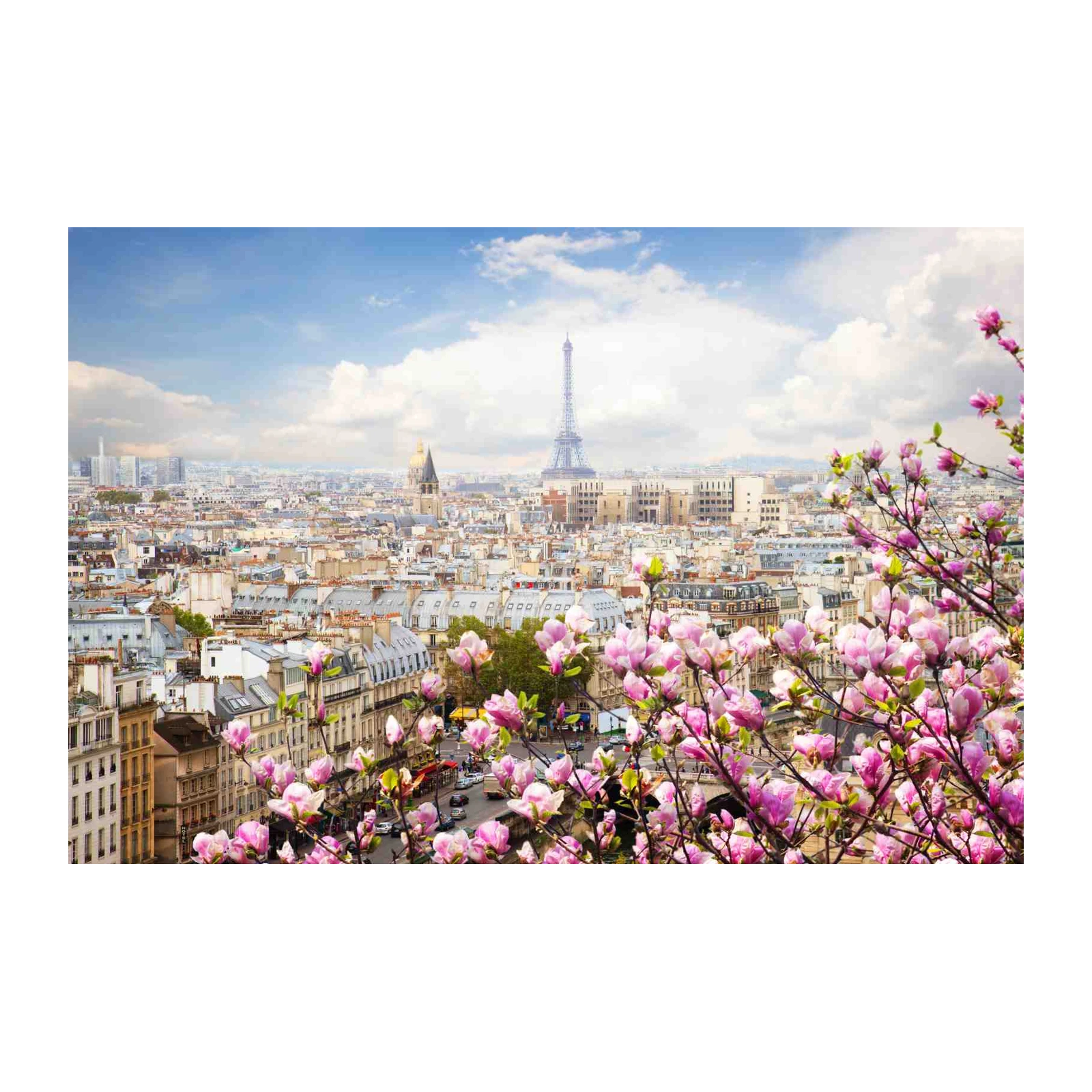 Parisian Spring Eiffel Tower Wall Art