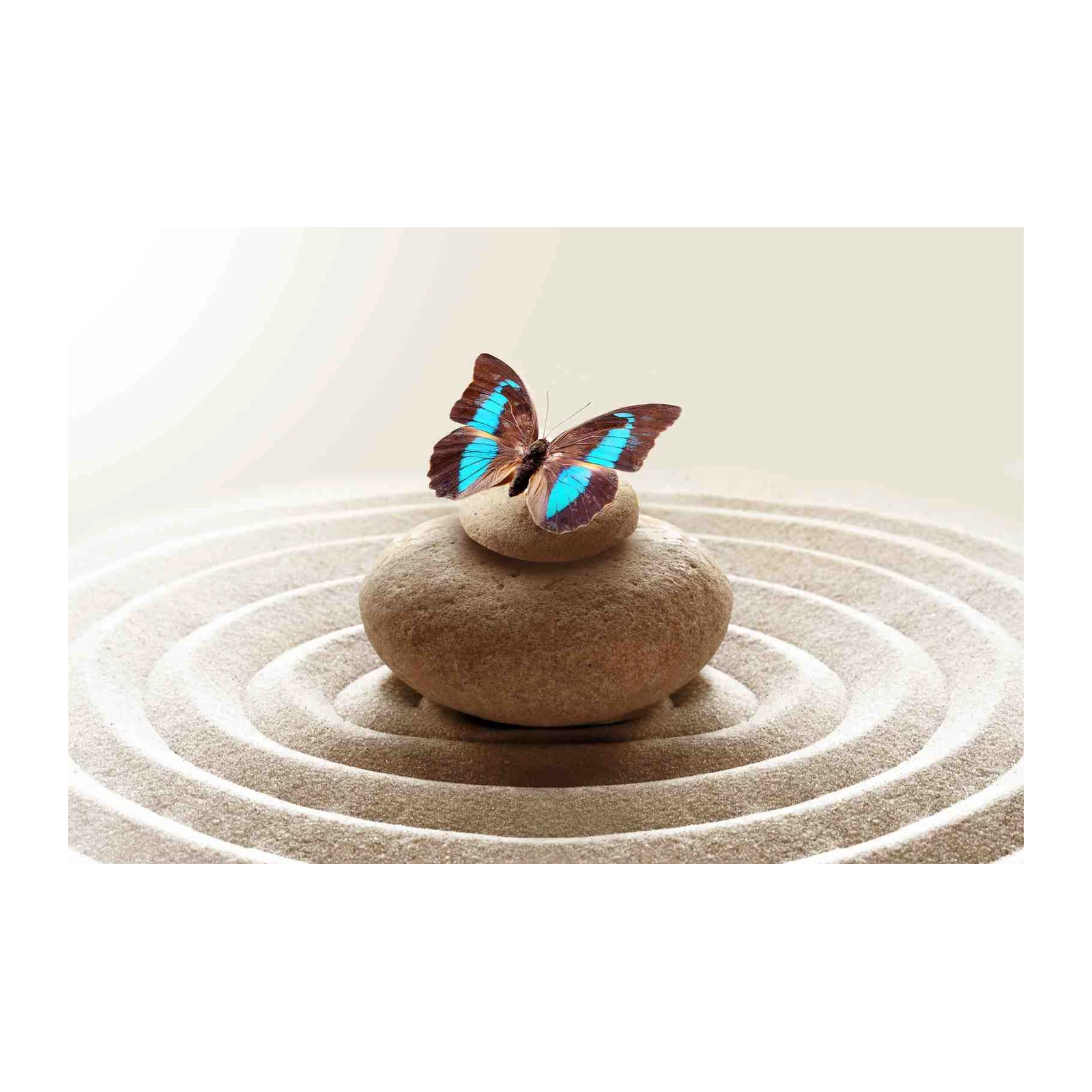 Zen Butterfly Meditation Stones Wall Art