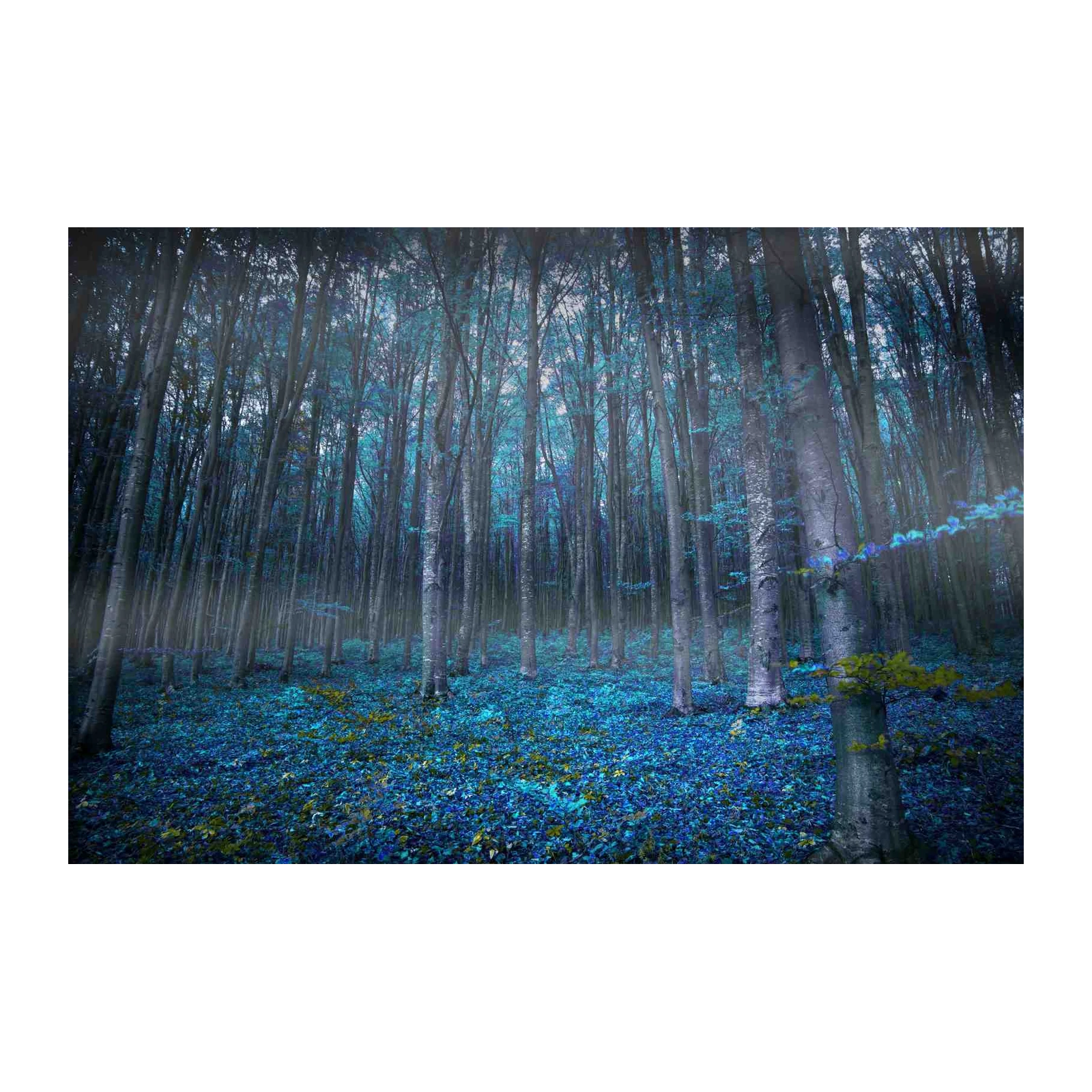Mystic Forest Enchanted Blue Leaves Wall Art
