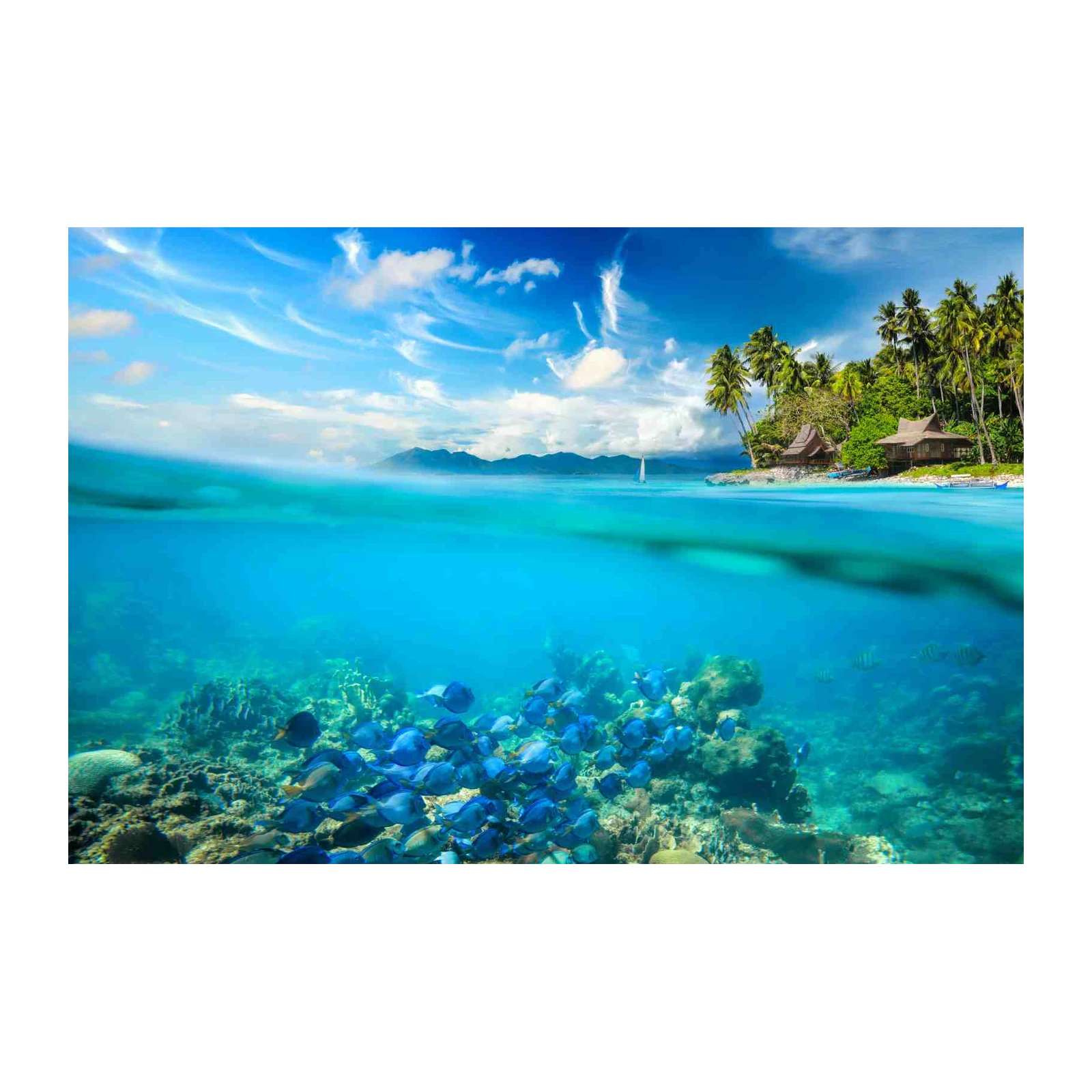 Tropical Paradise Underwater Scene Wall Art