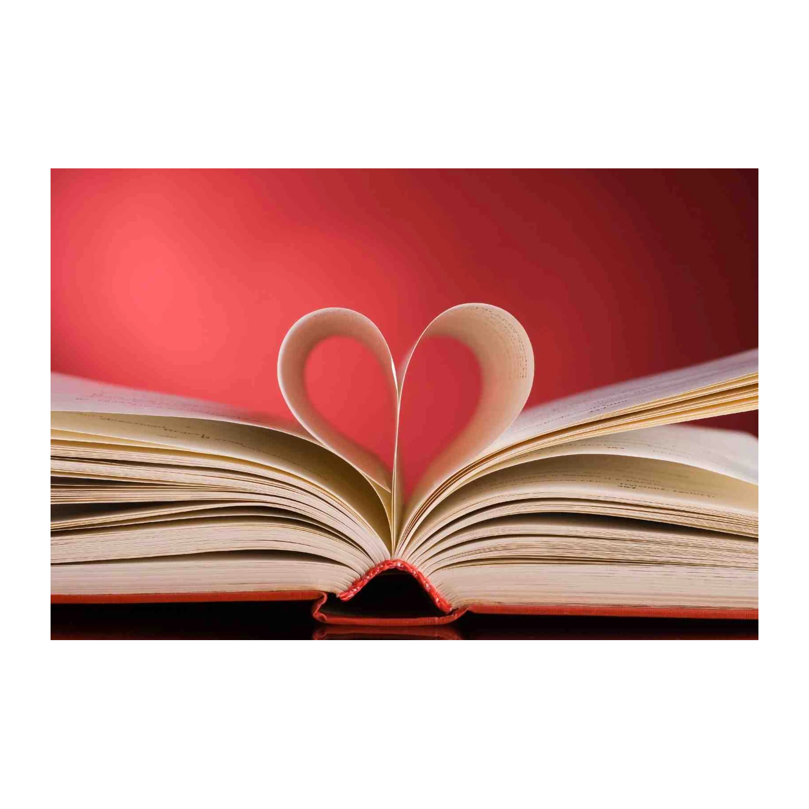 Heart of a Book Wall Art