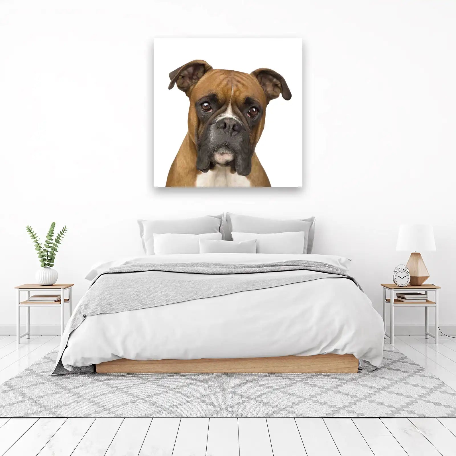 Charming Boxer Dog Portrait Wall Art