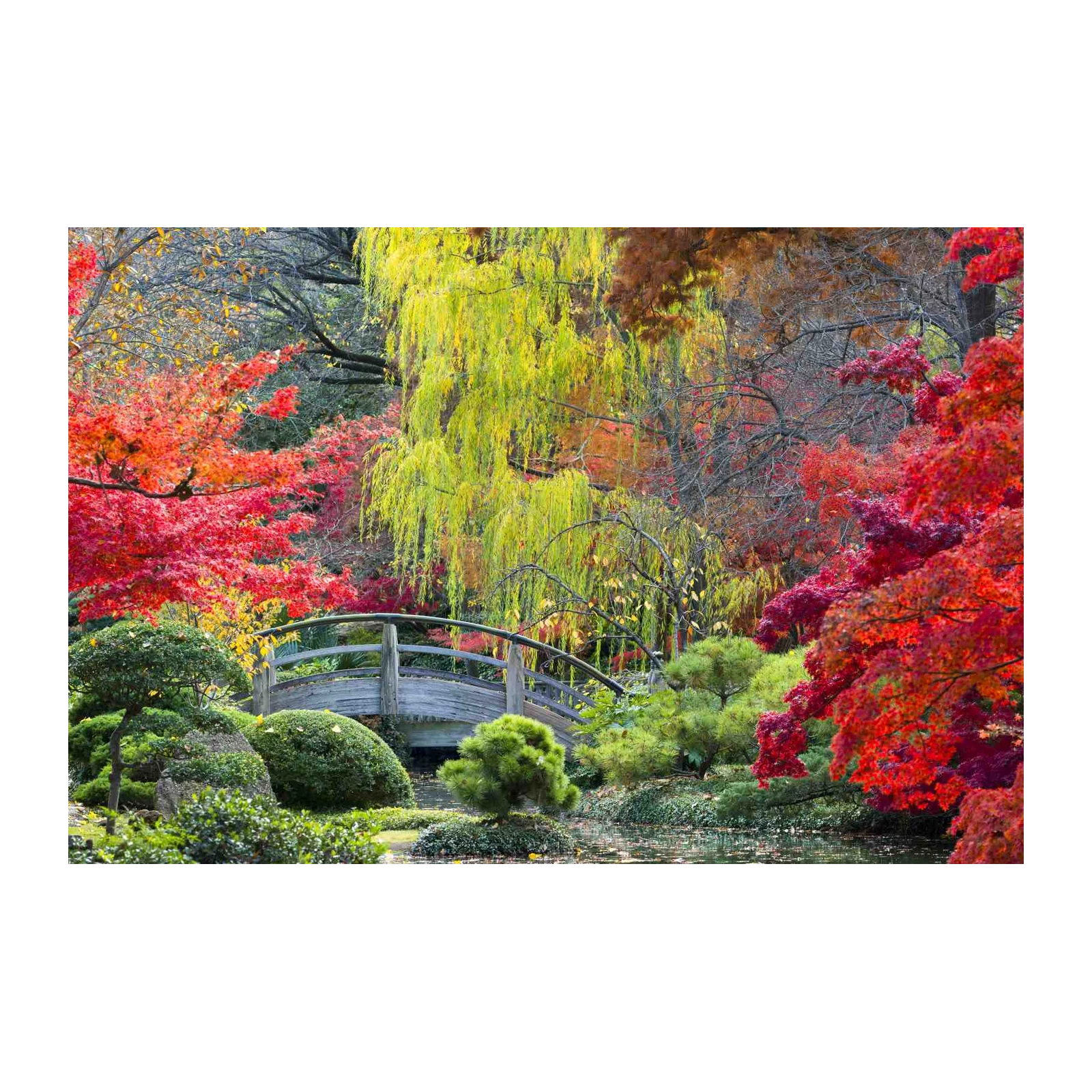 Vibrant Autumn Garden Bridge Wall Art