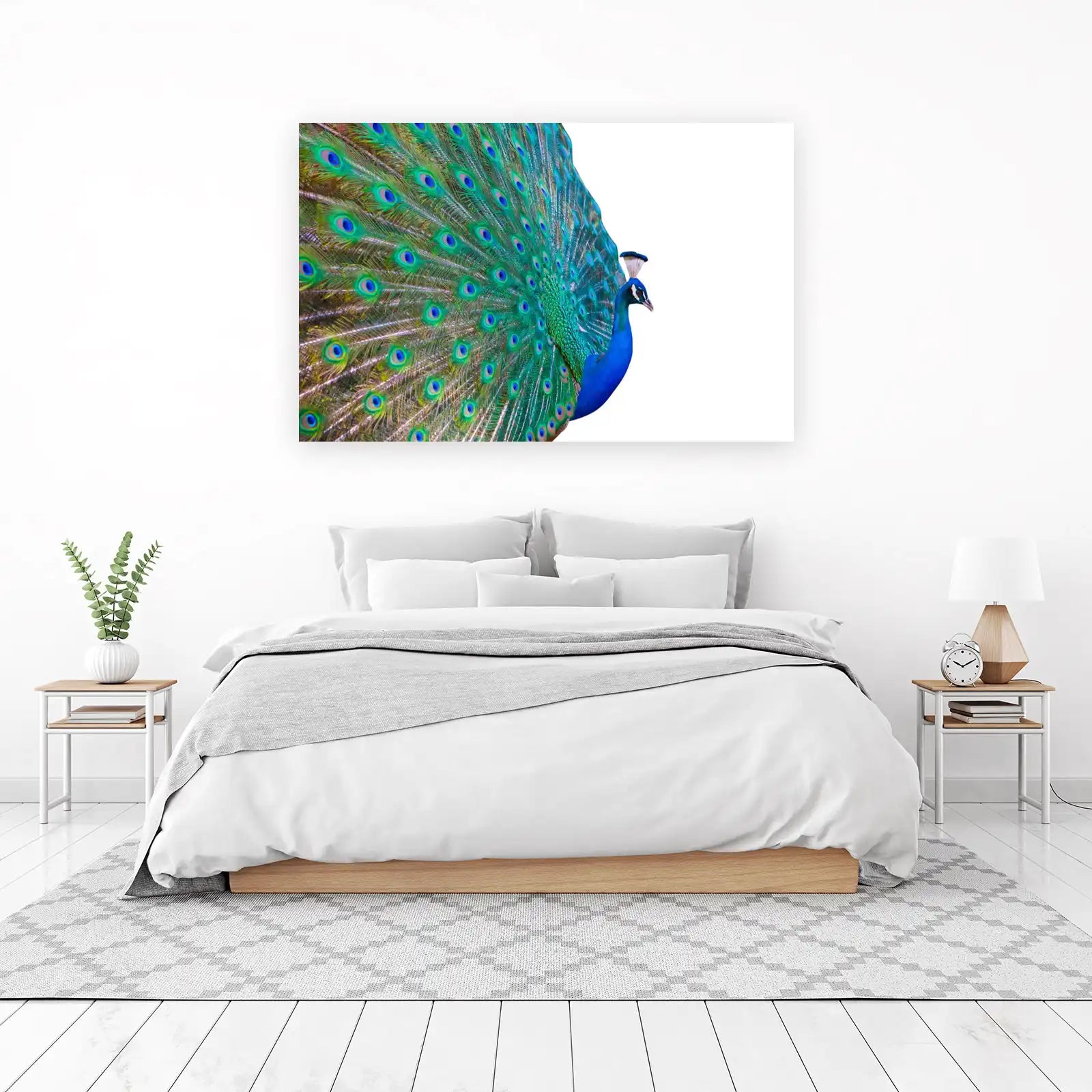 Majestic Peacock Feather Display Wall Art