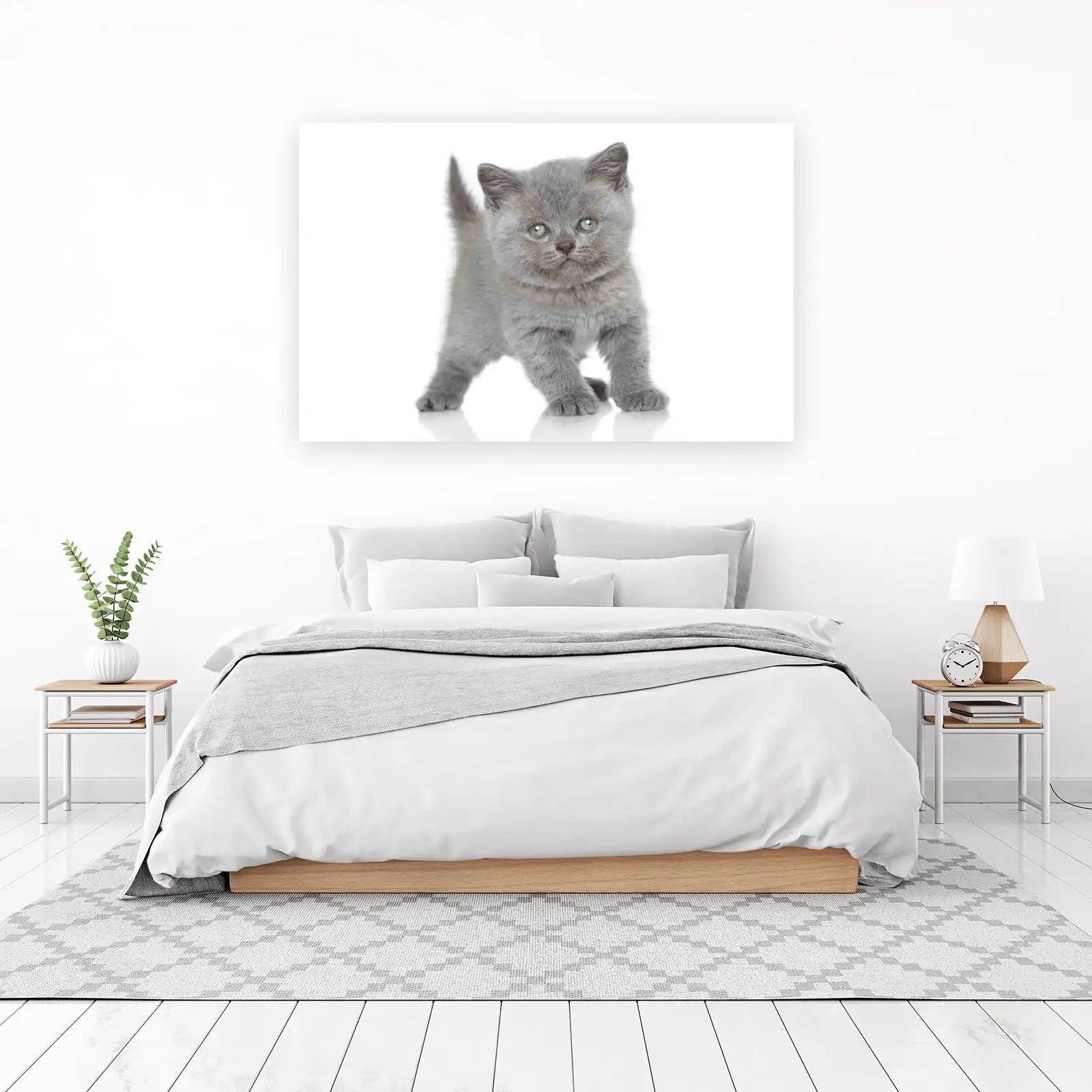 Adorable Grey Kitten Wall Art