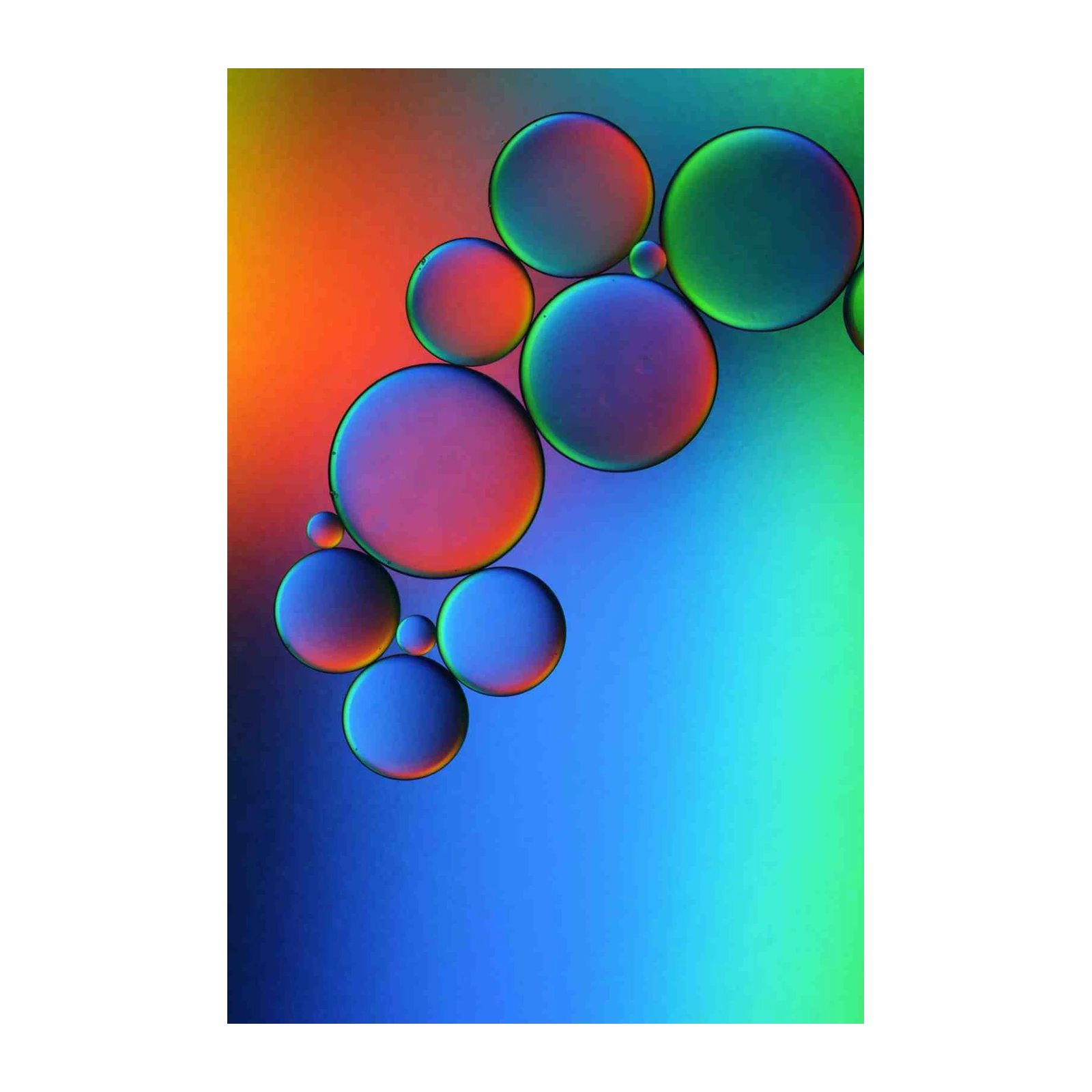 Vibrant Oil Droplets Abstract Wall Art