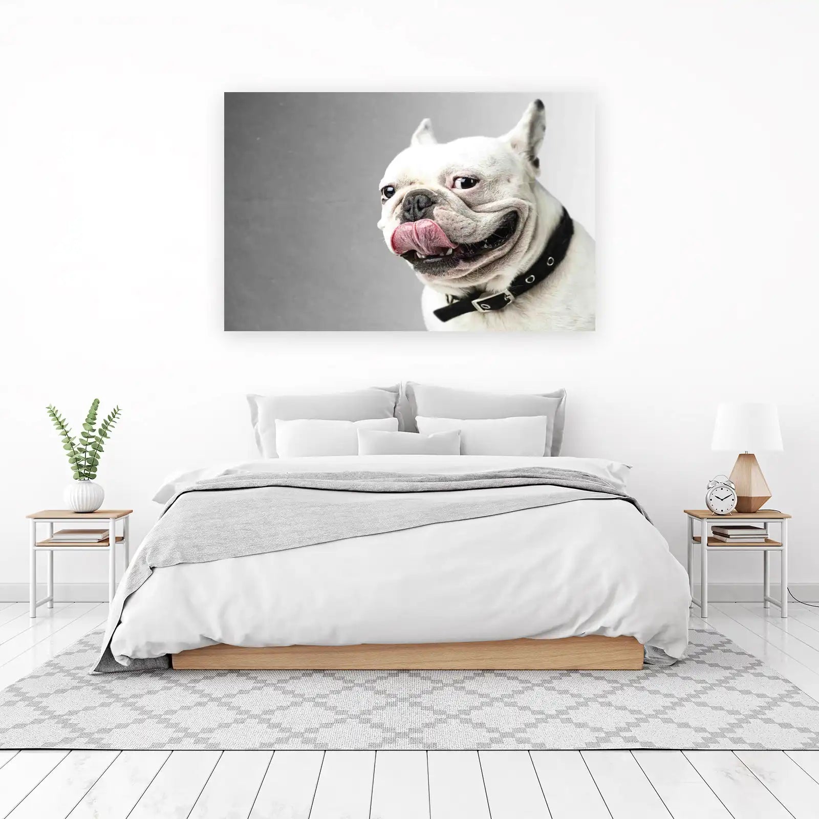 Playful French Bulldog Tongue Out Wall Art