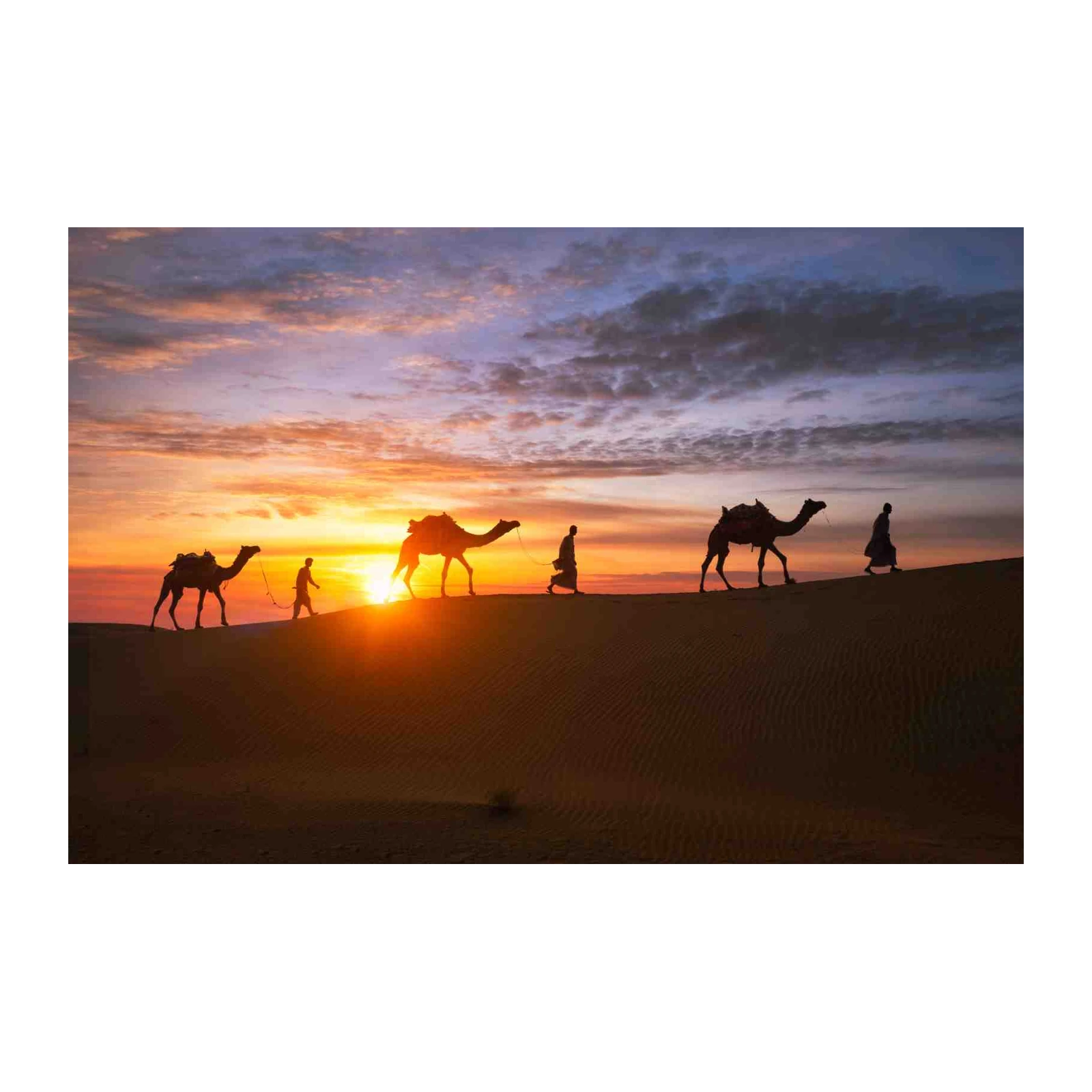 Desert Caravan Sunset Camel Ride Wall Art