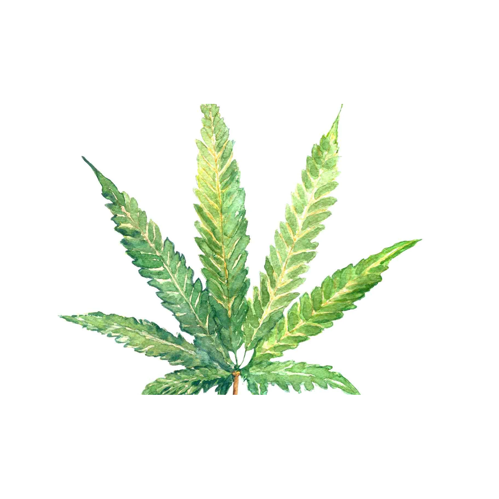 Botanical Green Leaf Watercolor Wall Art