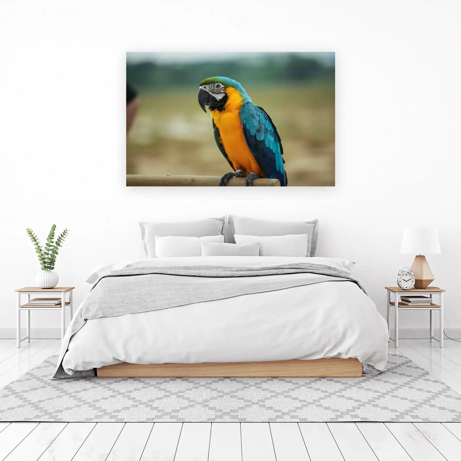 Vibrant Blue & Gold Macaw Bird Wall Art