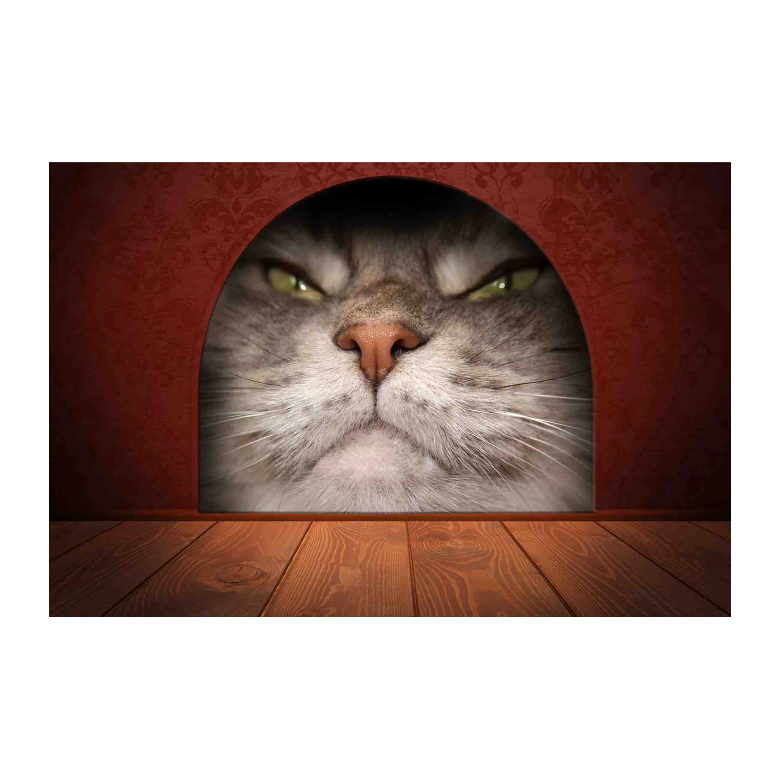 Intense Cat Face Fierce Look Wall Art