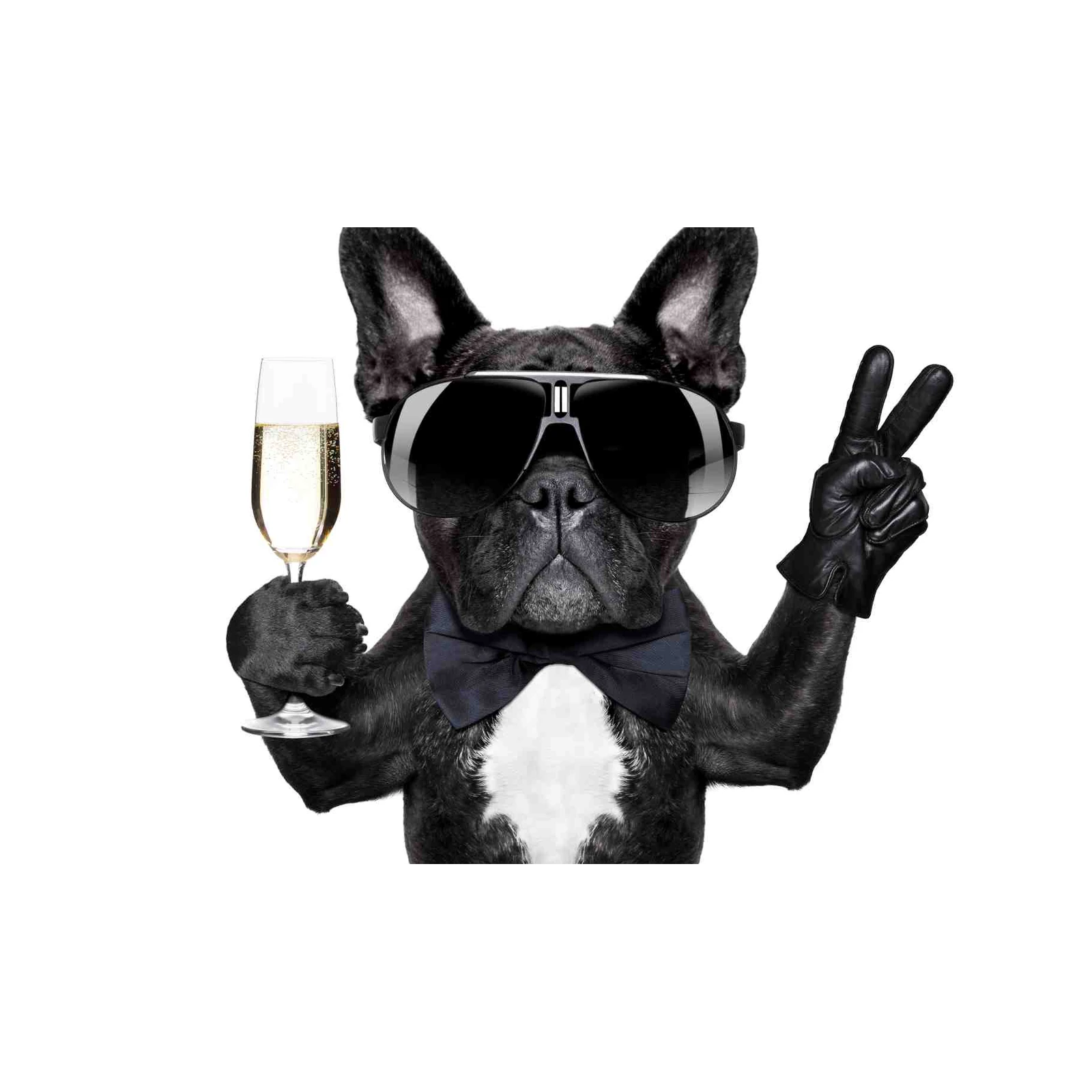 Dapper French Bulldog Champagne Toast Wall Art
