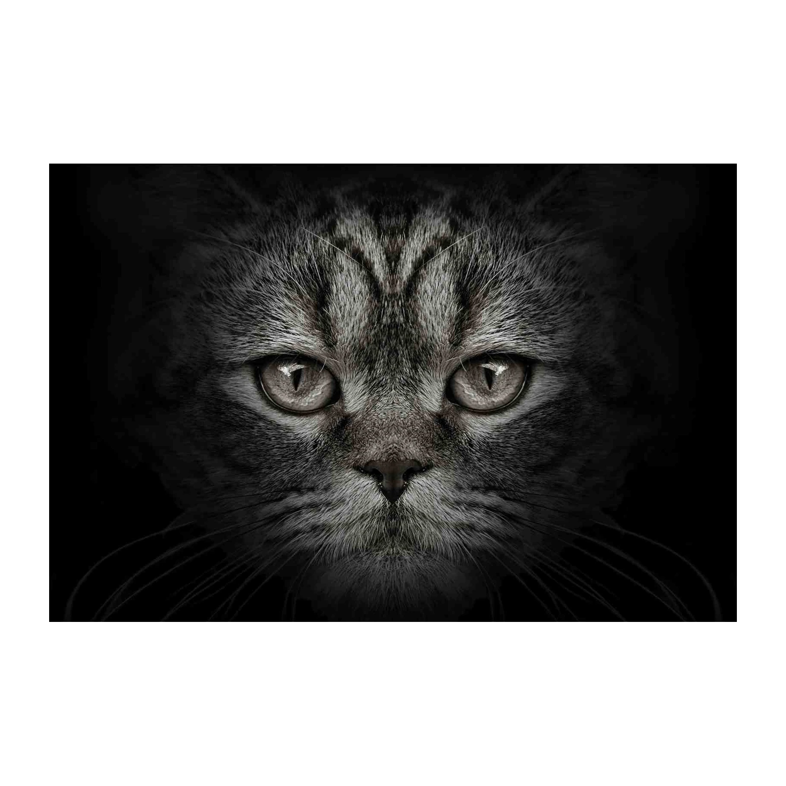 Mystic Feline Eyes Large Wall Art