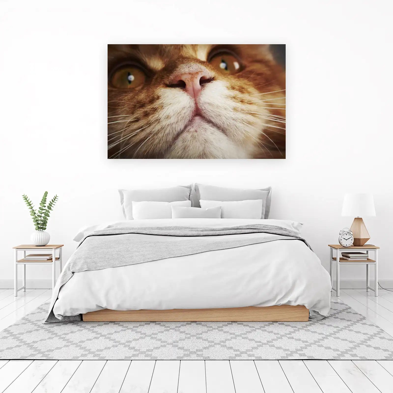 Close-Up Ginger Cat Face Wall Art