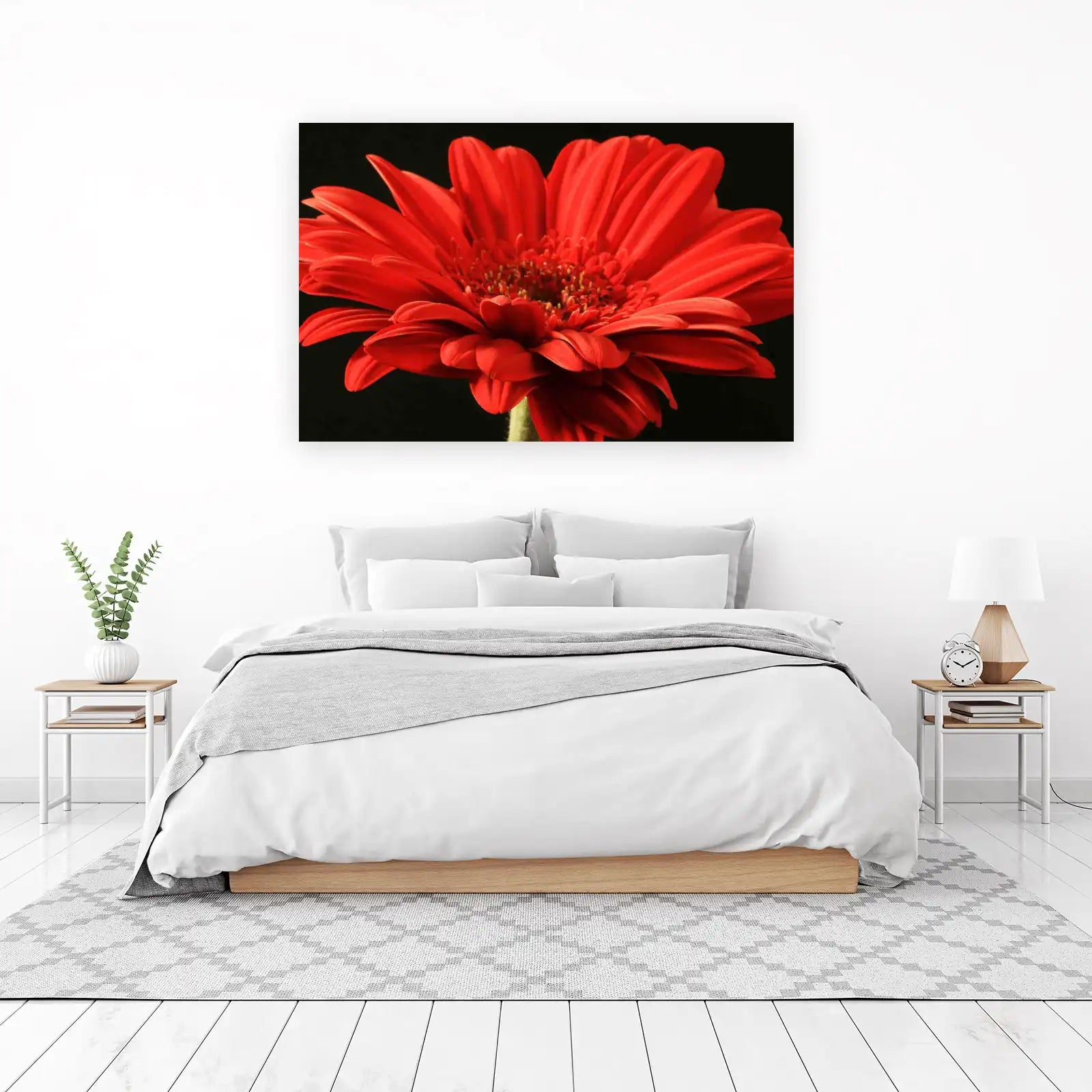 Vibrant Red Gerbera Daisy Close-Up Wall Art
