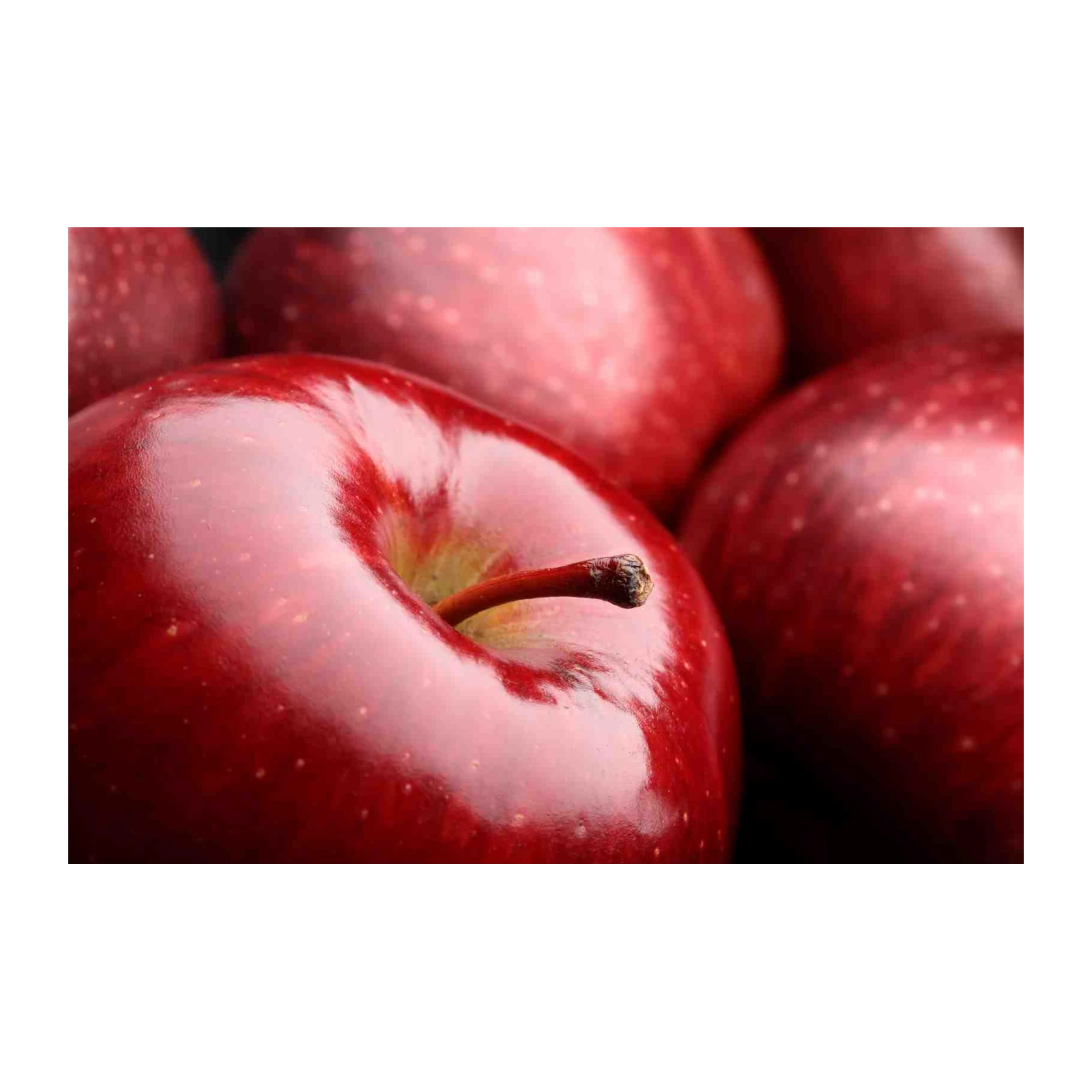 Juicy Red Apples Close-Up Wall Art