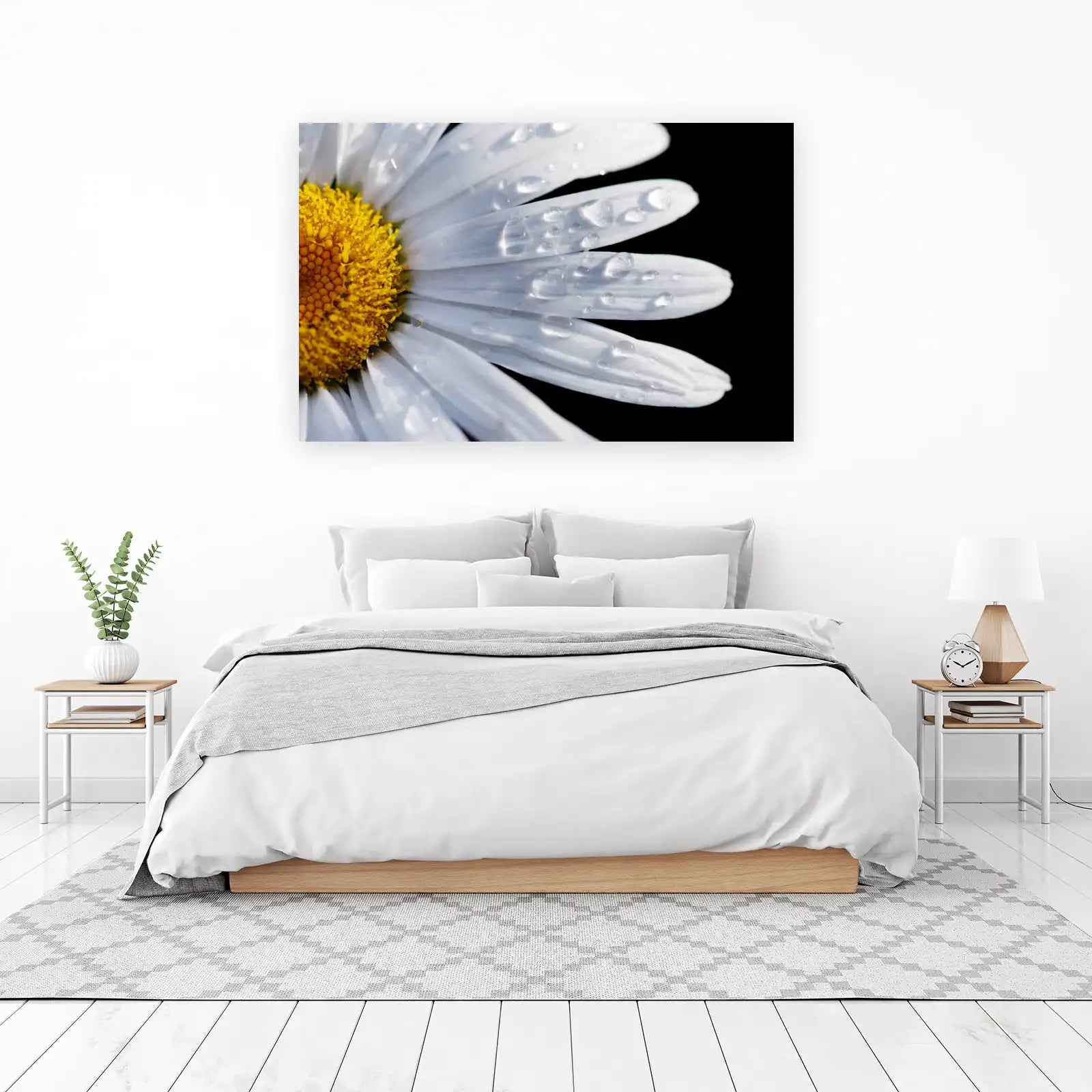 Dewy Daisy Petal Close-up Wall Art