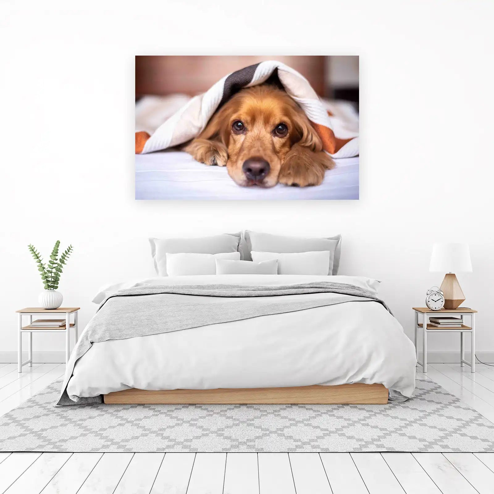 Cozy Dog Under Blanket Wall Art Art
