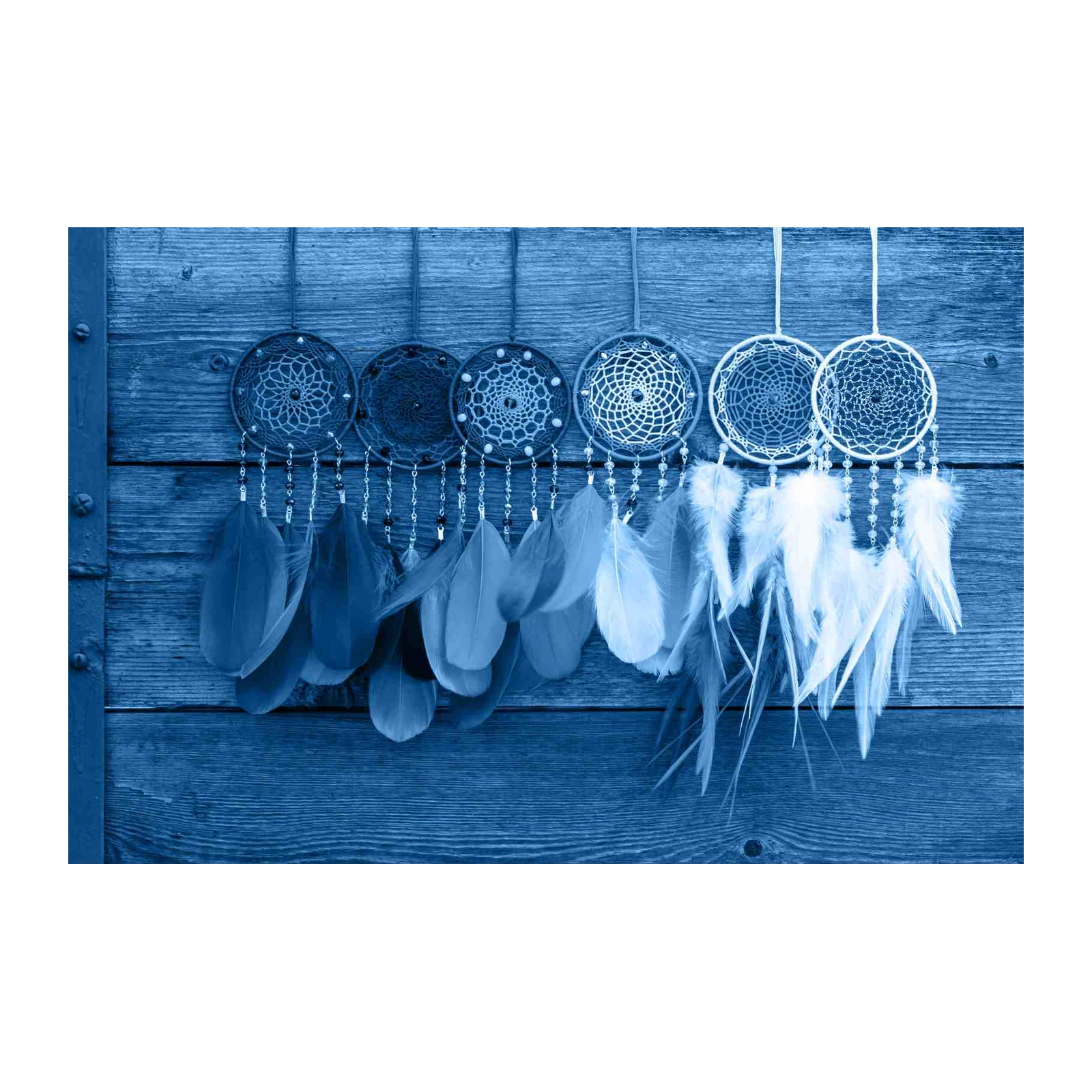 Bohemian Dreamcatcher & Feather Wall Art Wall Art