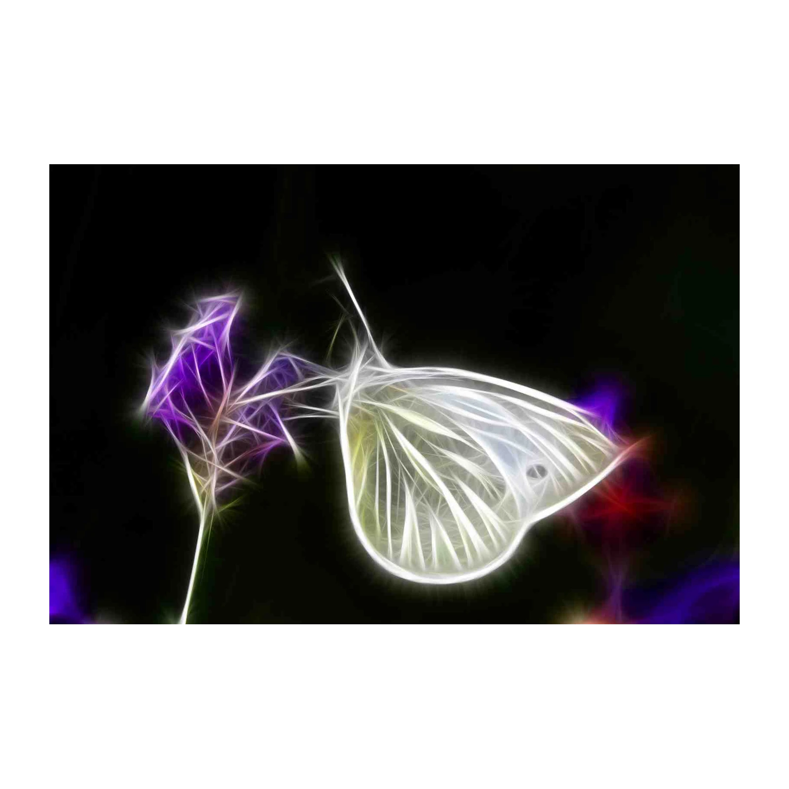 Radiant Butterfly Fractal Art Wall Art