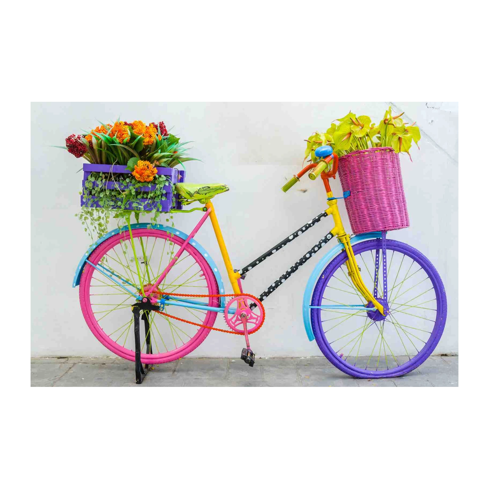 Vibrant Floral Bicycle Wall Art