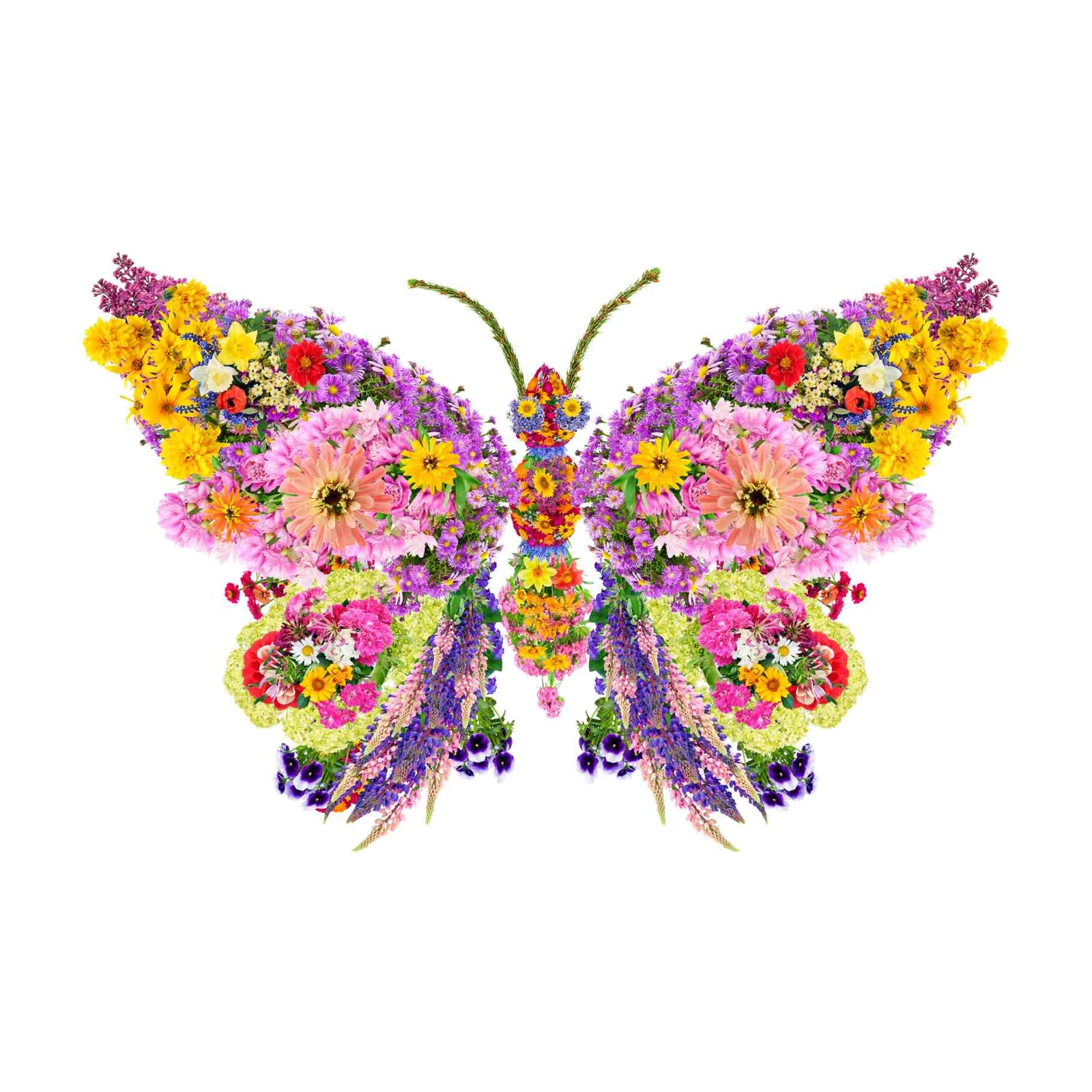 Vibrant Floral Butterfly Wall Art