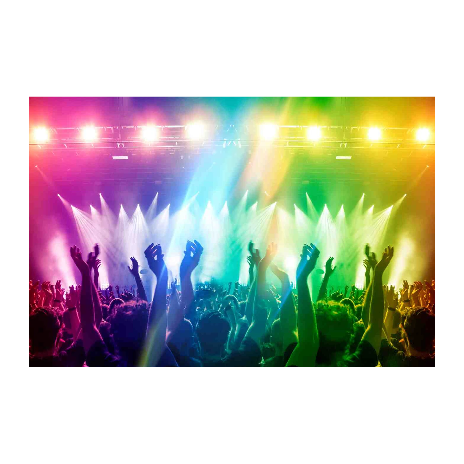Vibrant Concert Crowd Wall Art