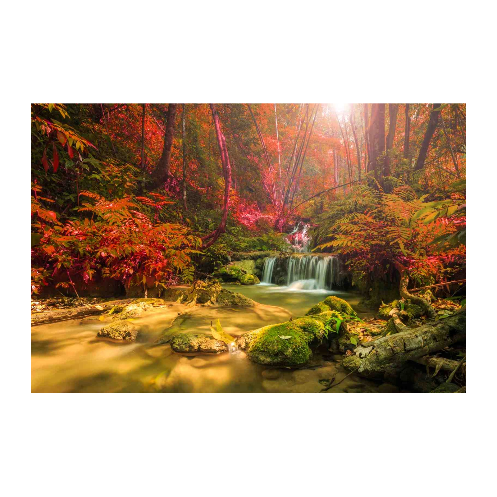 Tranquil Waterfall Forest Landscape Wall Art
