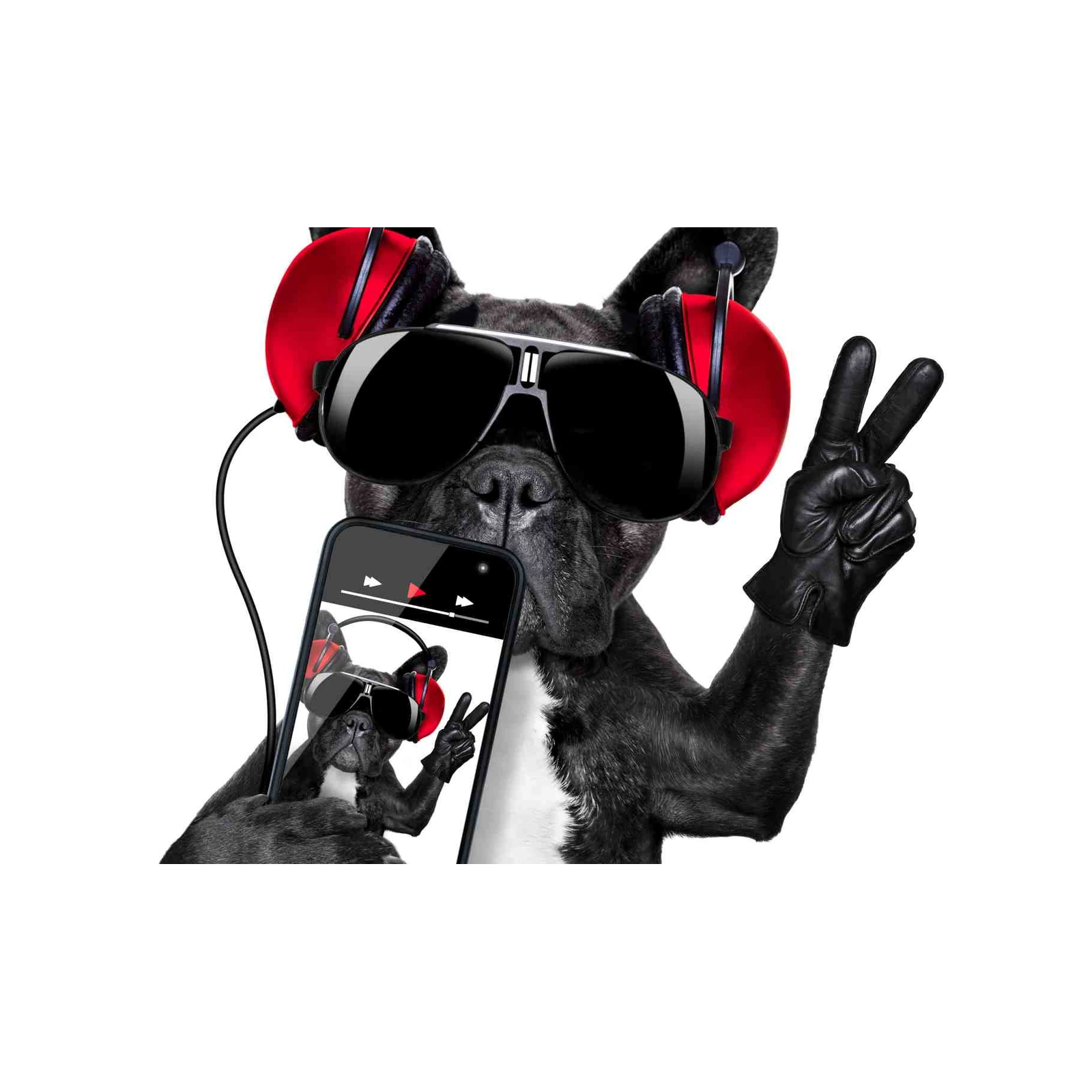 Cool French Bulldog DJ Vibes Wall Art