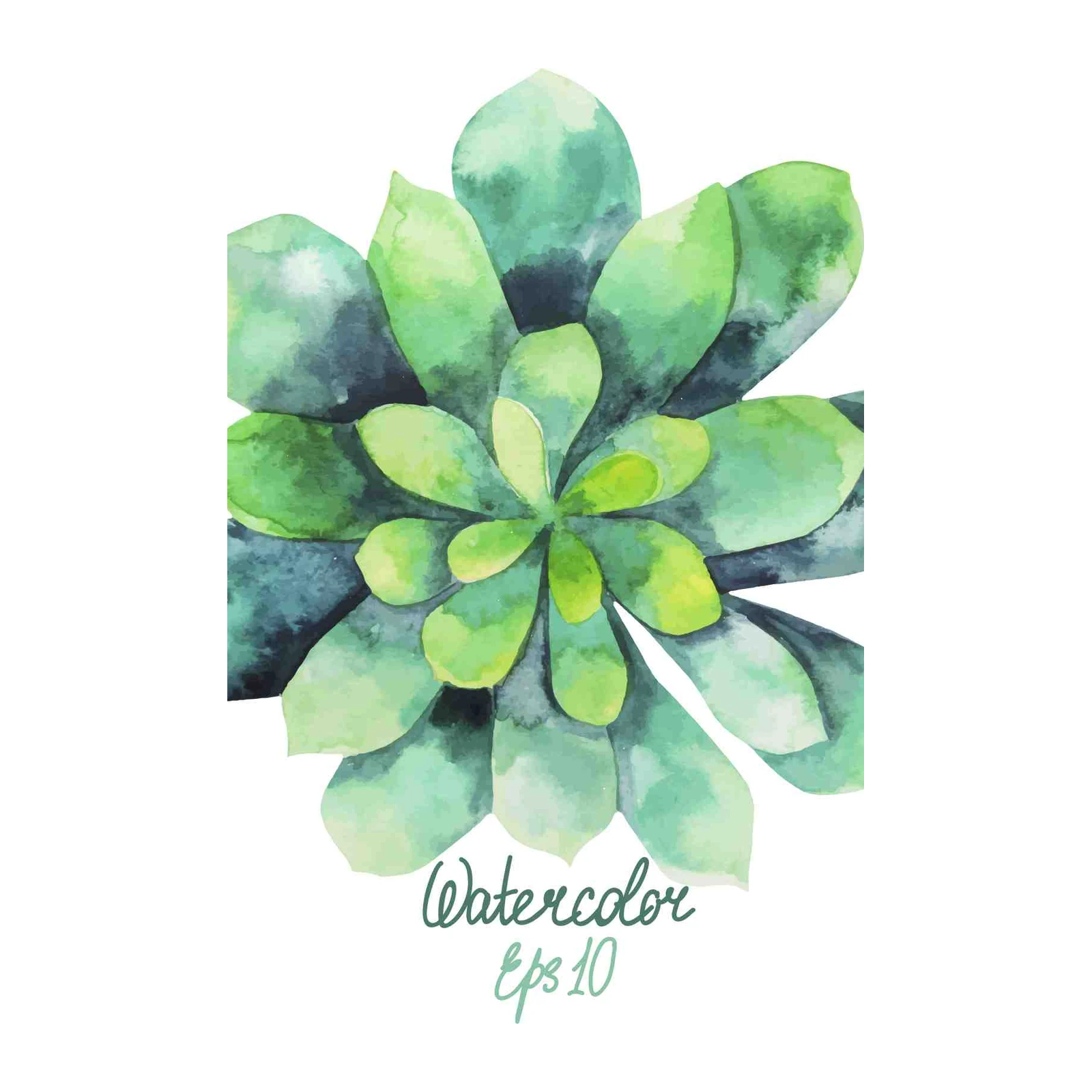 Green Succulent Watercolor Wall Art Wall Art
