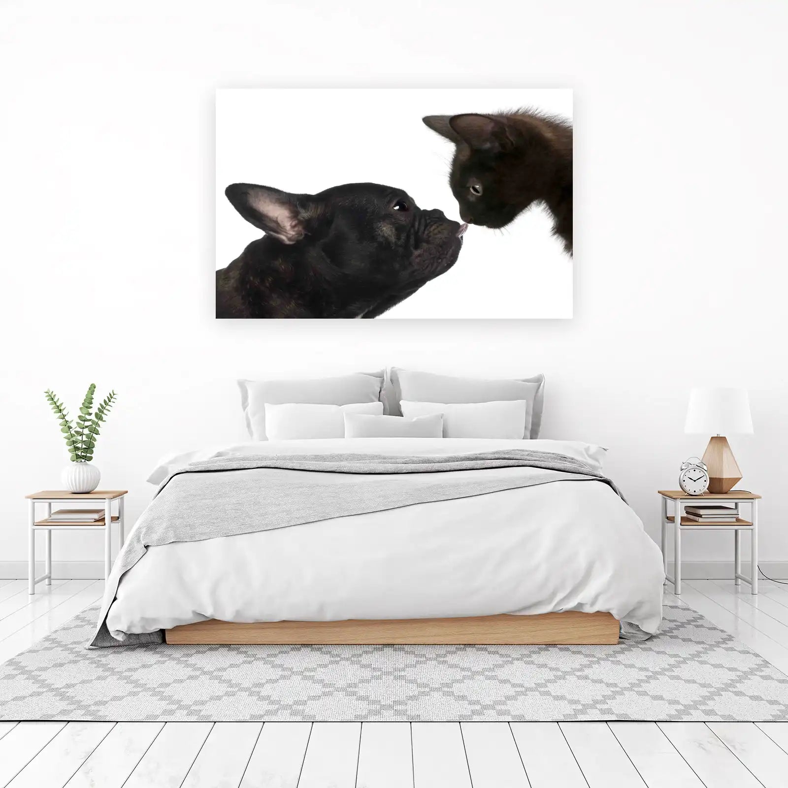 Adorable Dog & Cat Kiss Wall Art