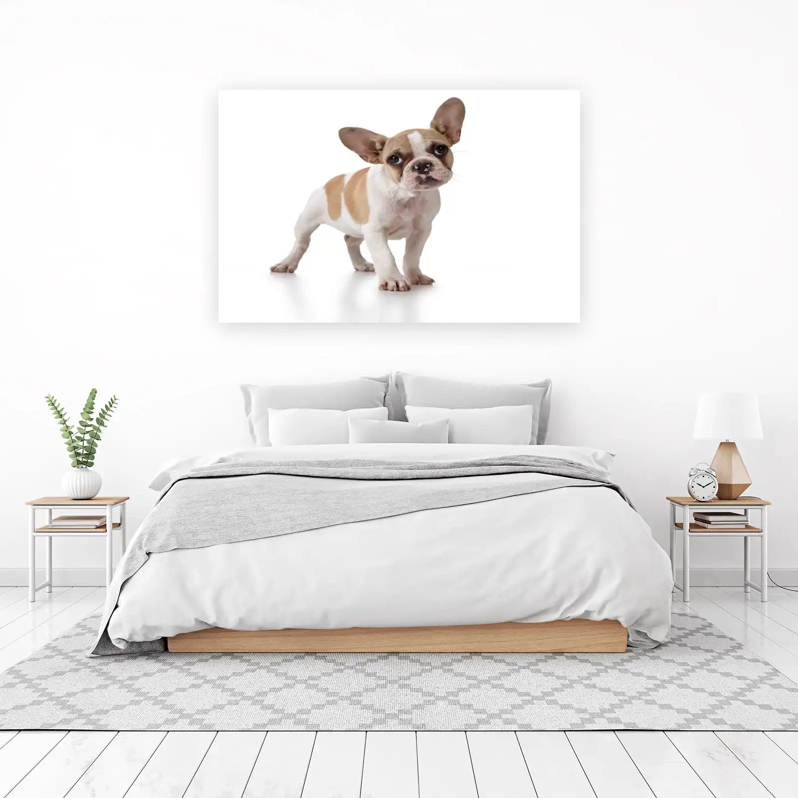 Adorable French Bulldog Puppy Wall Art