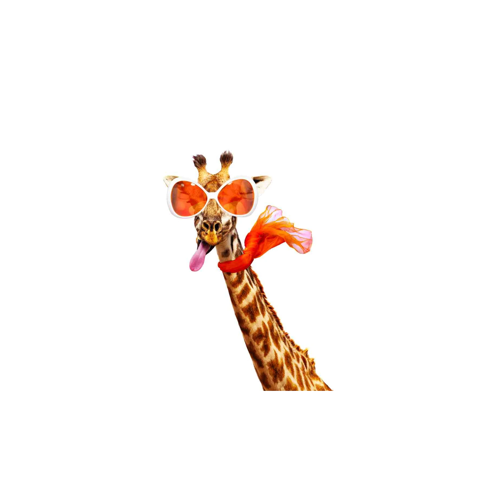 Funky Giraffe with Sunglasses Wall Art