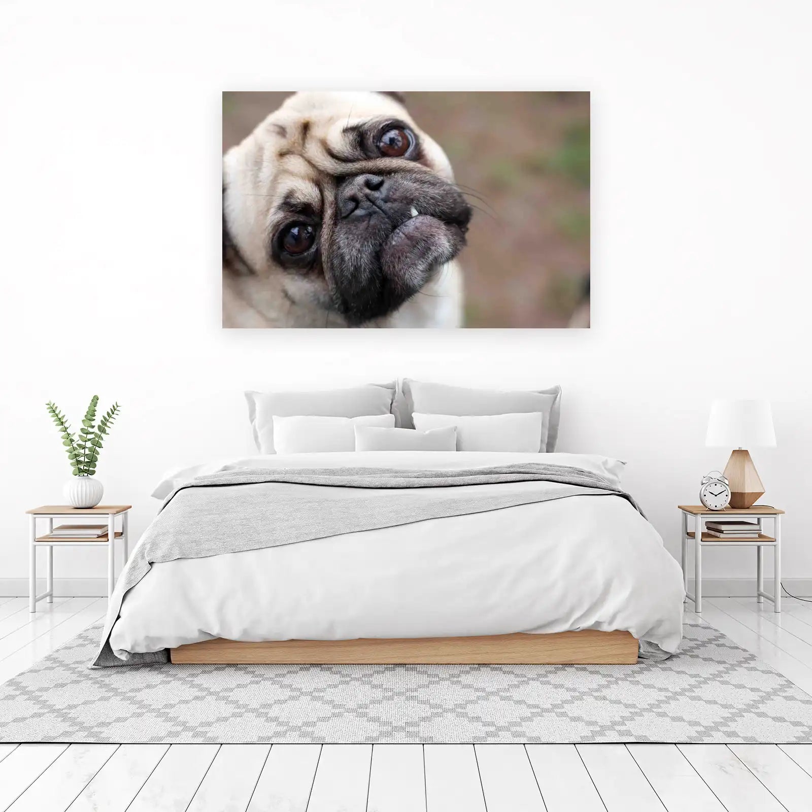 Adorable Pug Portrait Wall Art