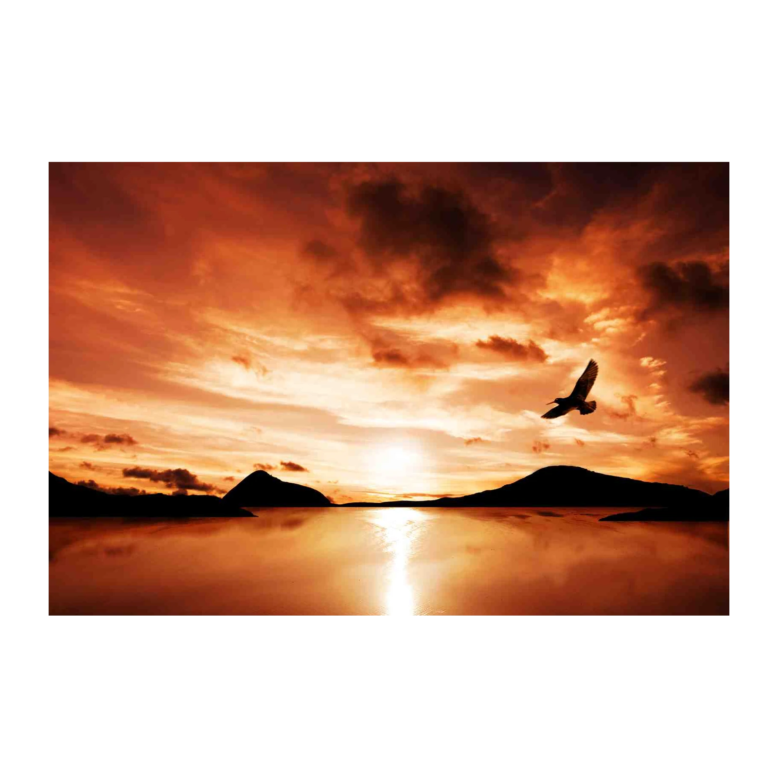 Majestic Bird Sunset Ocean Wall Art