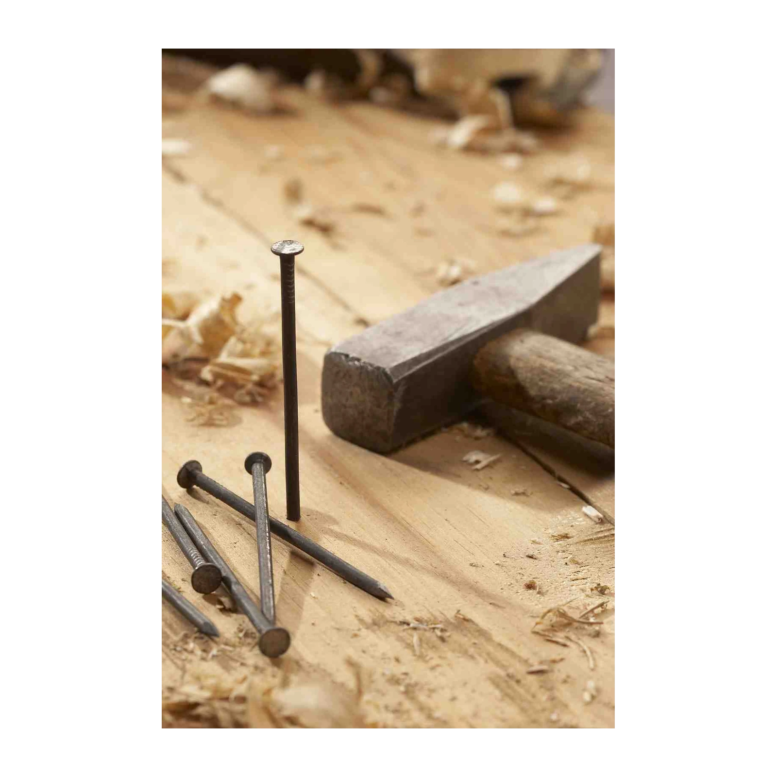 Craftsman's Tools: Nails & Hammer Wall Art