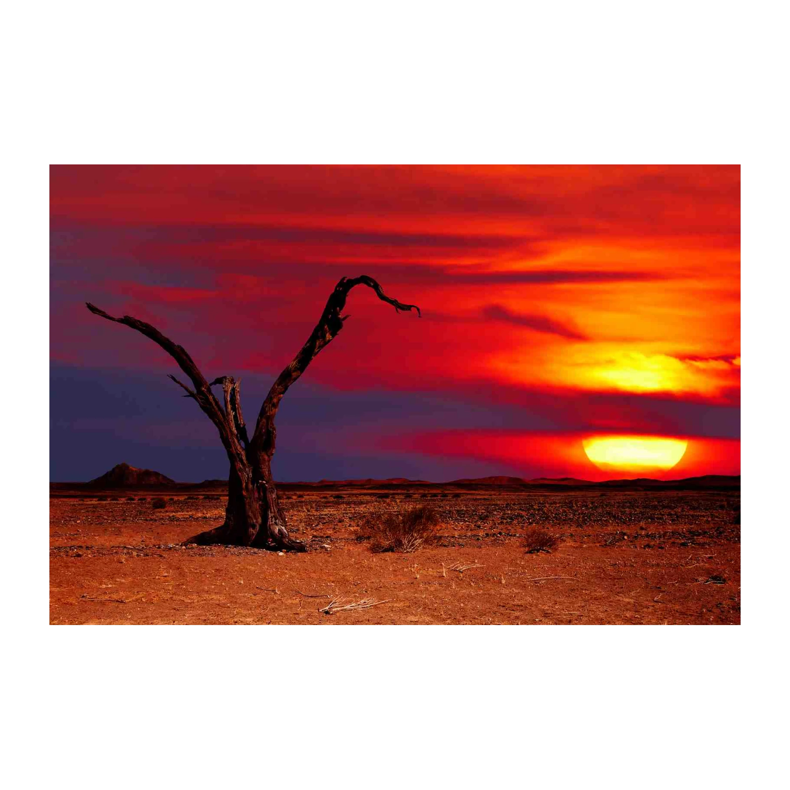 Fiery Desert Sunset Dead Tree Wall Art