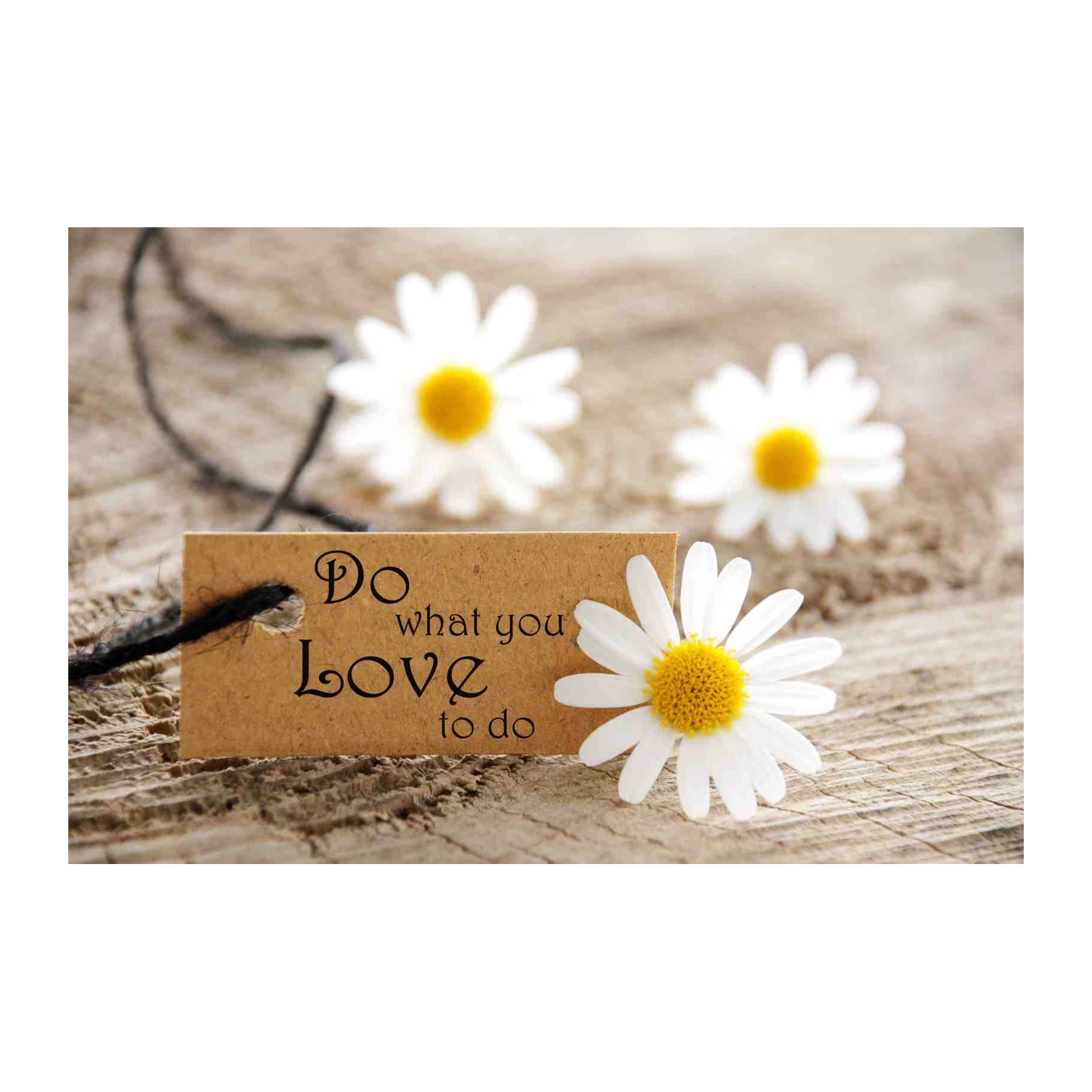 Inspirational Daisy "Do What You Love" Wall Art
