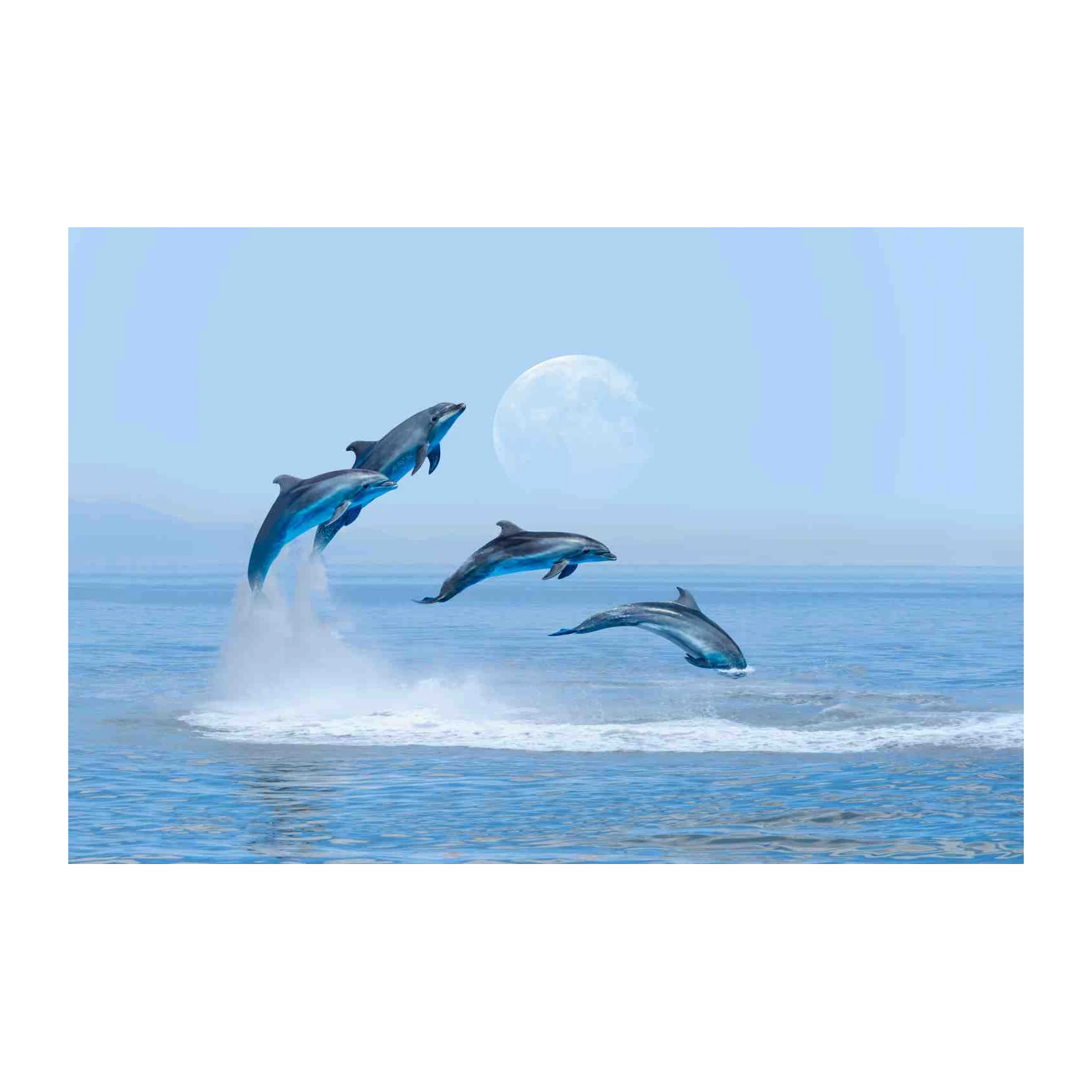 Majestic Dolphins Jumping Full Moon Wall Art