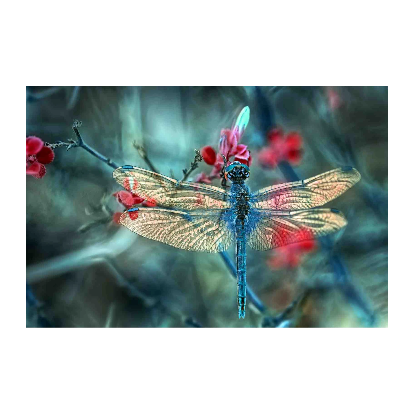 Enchanting Dragonfly Nature Wall Art